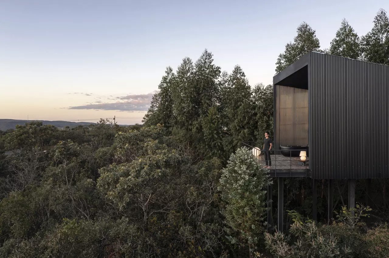 building design，Tree top life，Tree House，