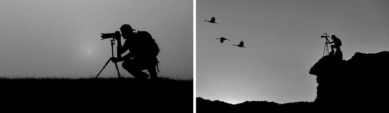 outdoors，camera，Simplified shooting，Photography，