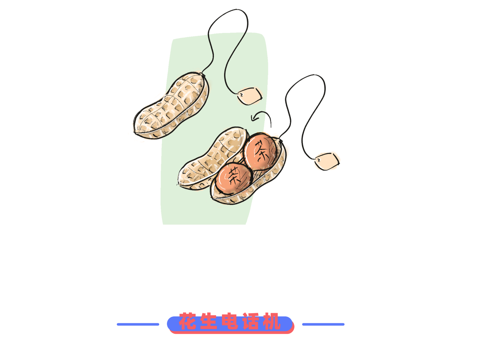 originality，Design，peanut，sketch，practice，