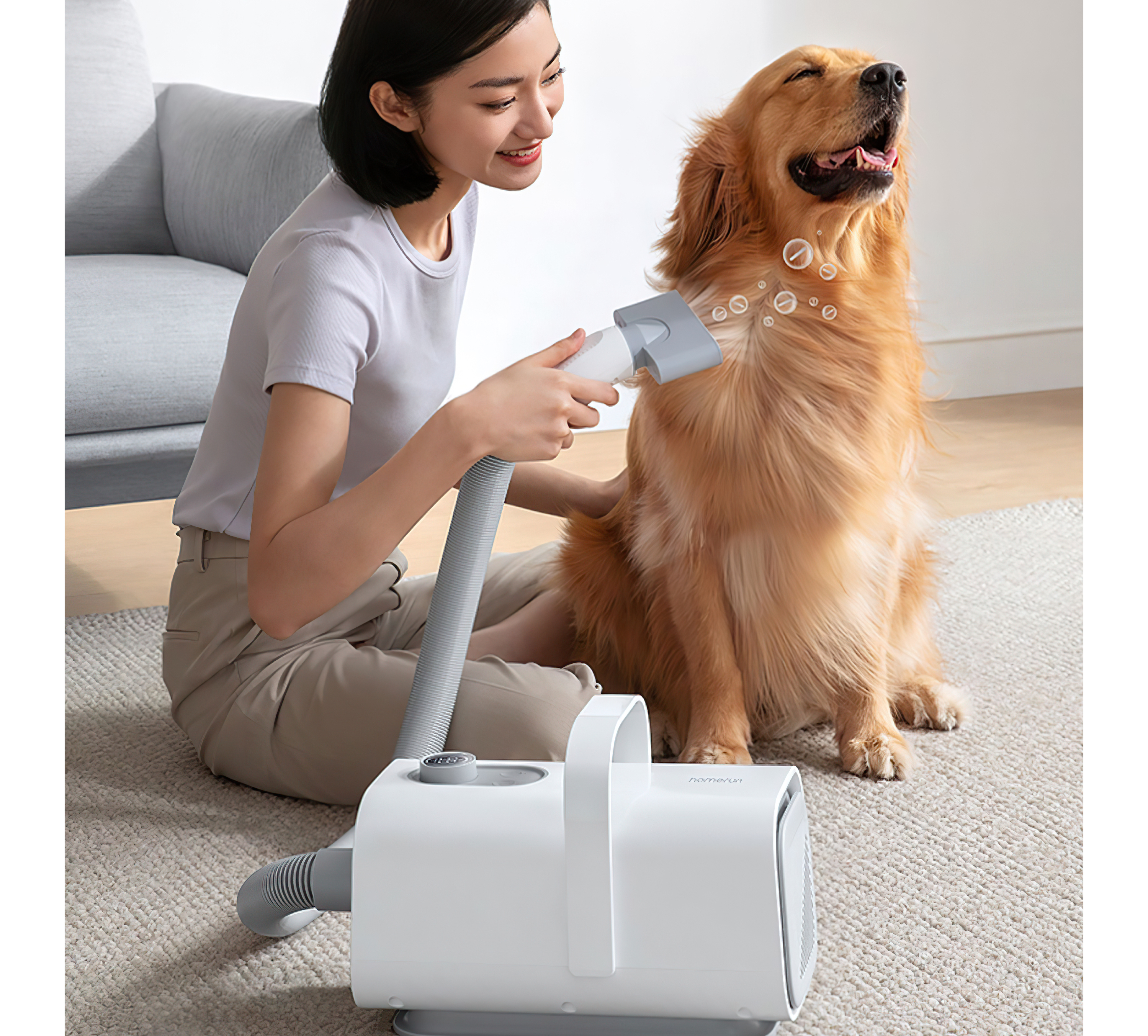 industrial design，product design，Visual design，Structural design，Pet Supplies & Pet，Pet hairer，Pet dryer，Pet water blower，