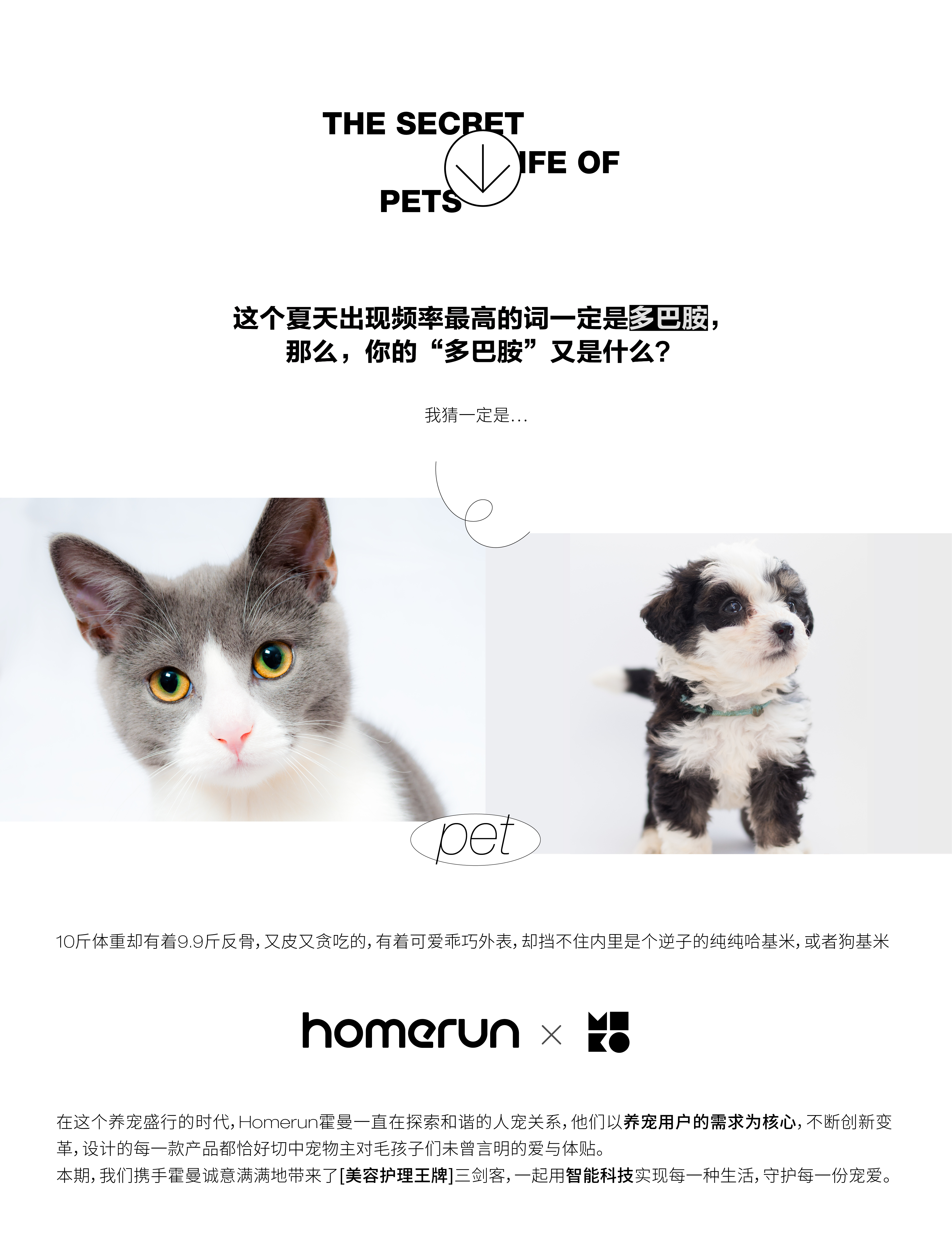 industrial design，product design，Visual design，Structural design，Pet Supplies & Pet，Pet hairer，Pet dryer，Pet water blower，