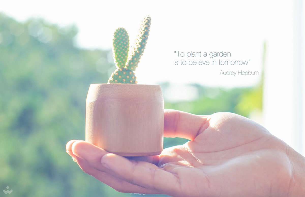 Bamboo，Flowerpot，manual，Vietnam，