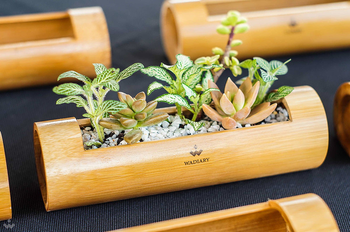 Bamboo，Flowerpot，manual，Vietnam，