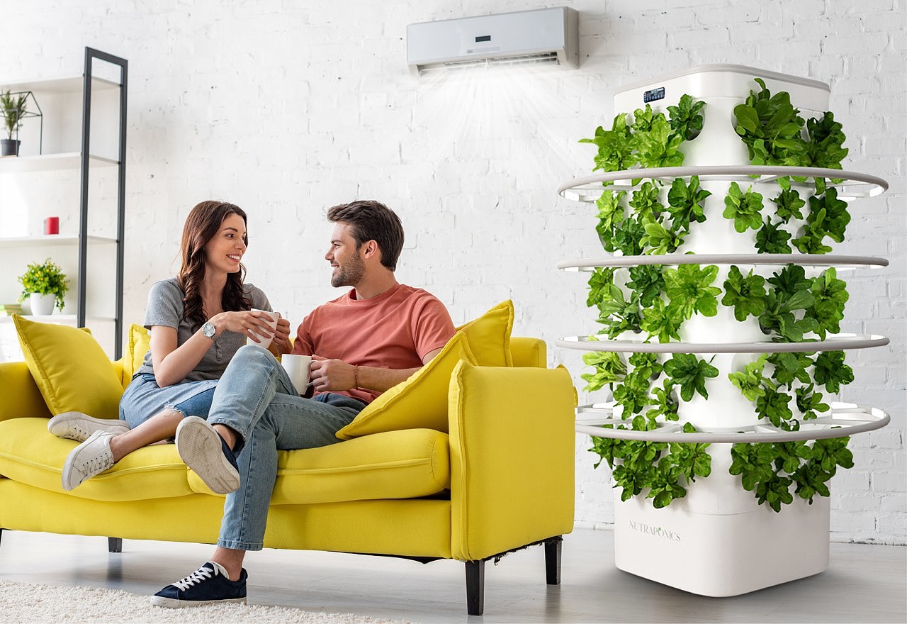 kitchen，garden，provide for oneself，fresh，