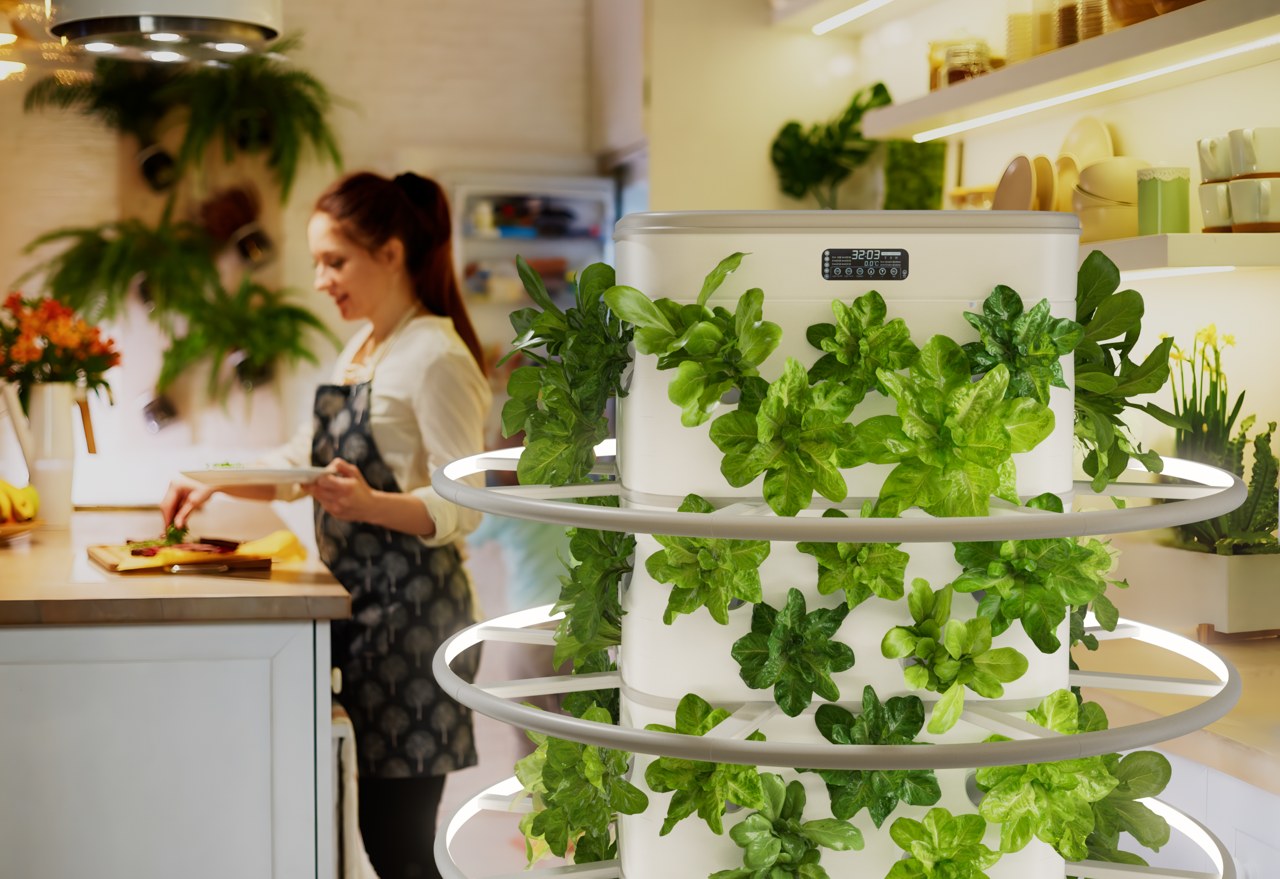 kitchen，garden，provide for oneself，fresh，