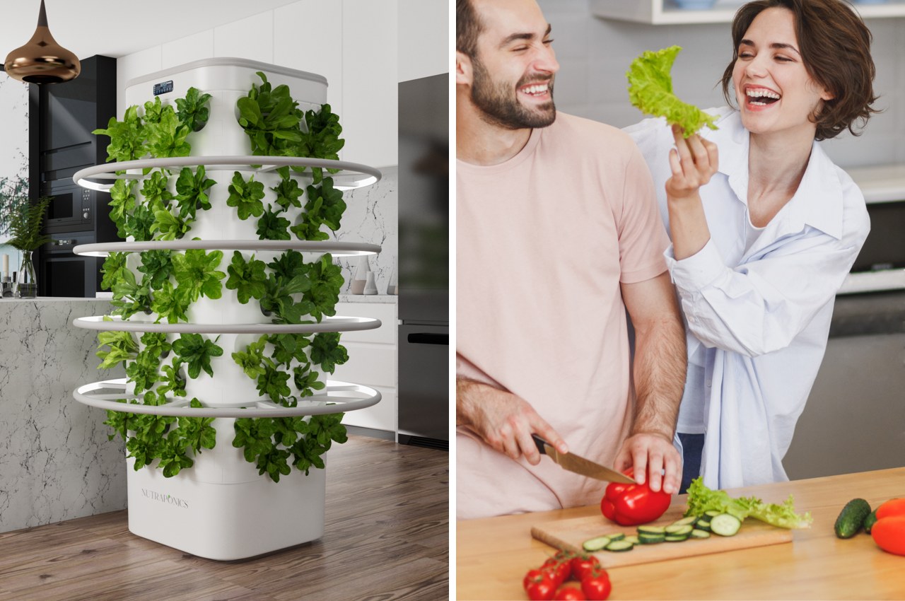 kitchen，garden，provide for oneself，fresh，