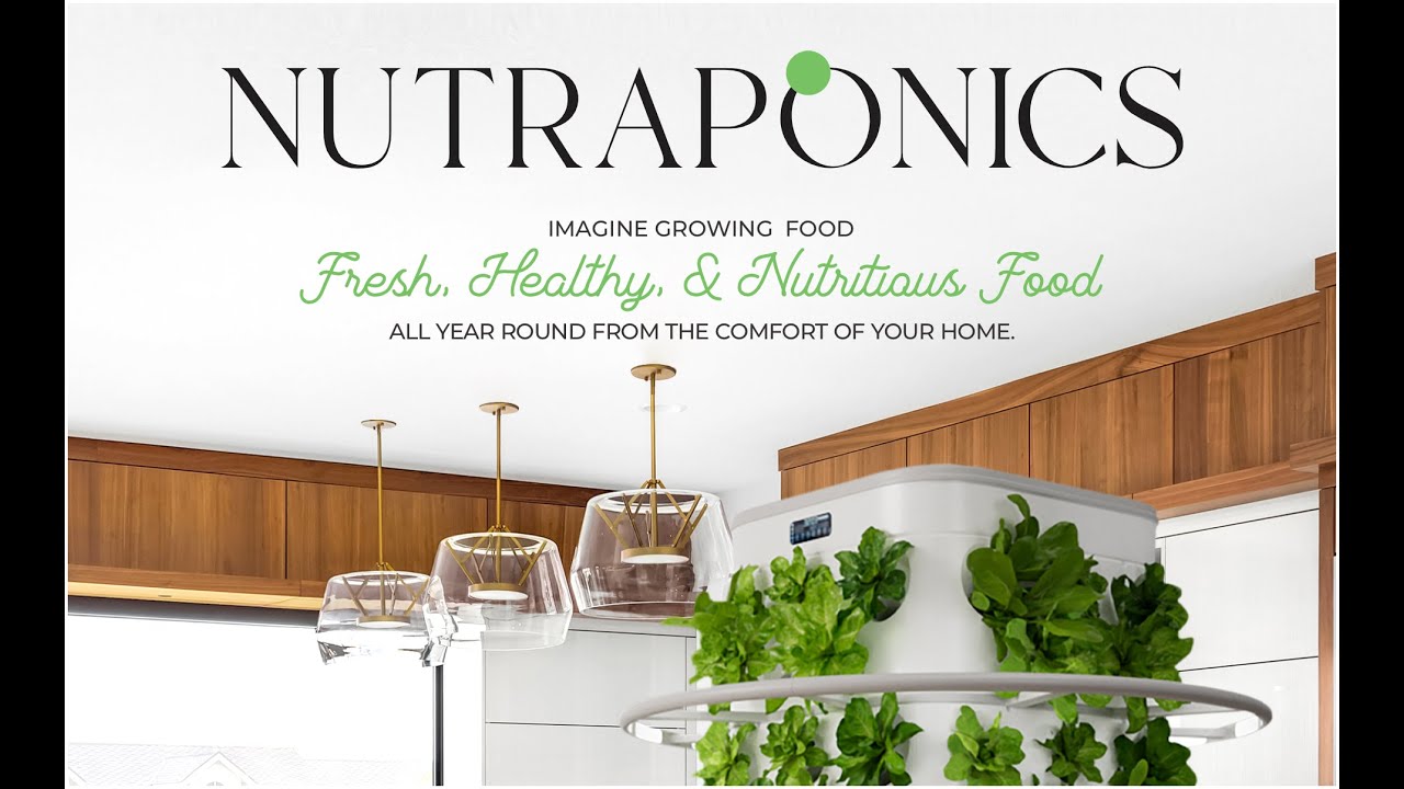 kitchen，garden，provide for oneself，fresh，