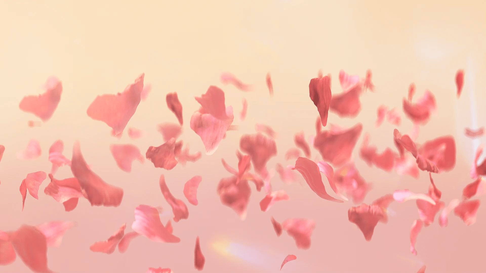 c4d，Product animation，