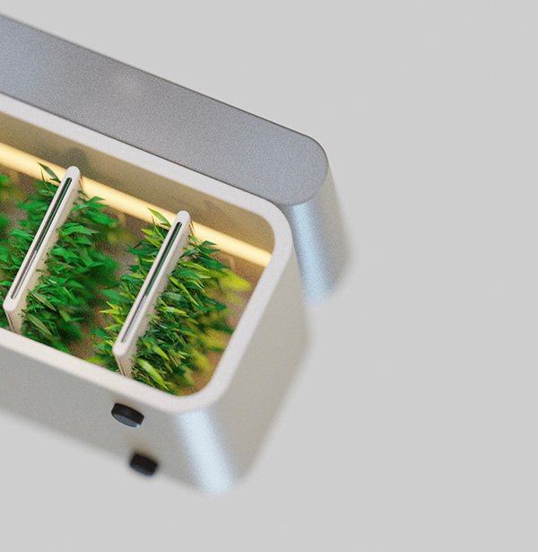 Square greens，Kitchenware，