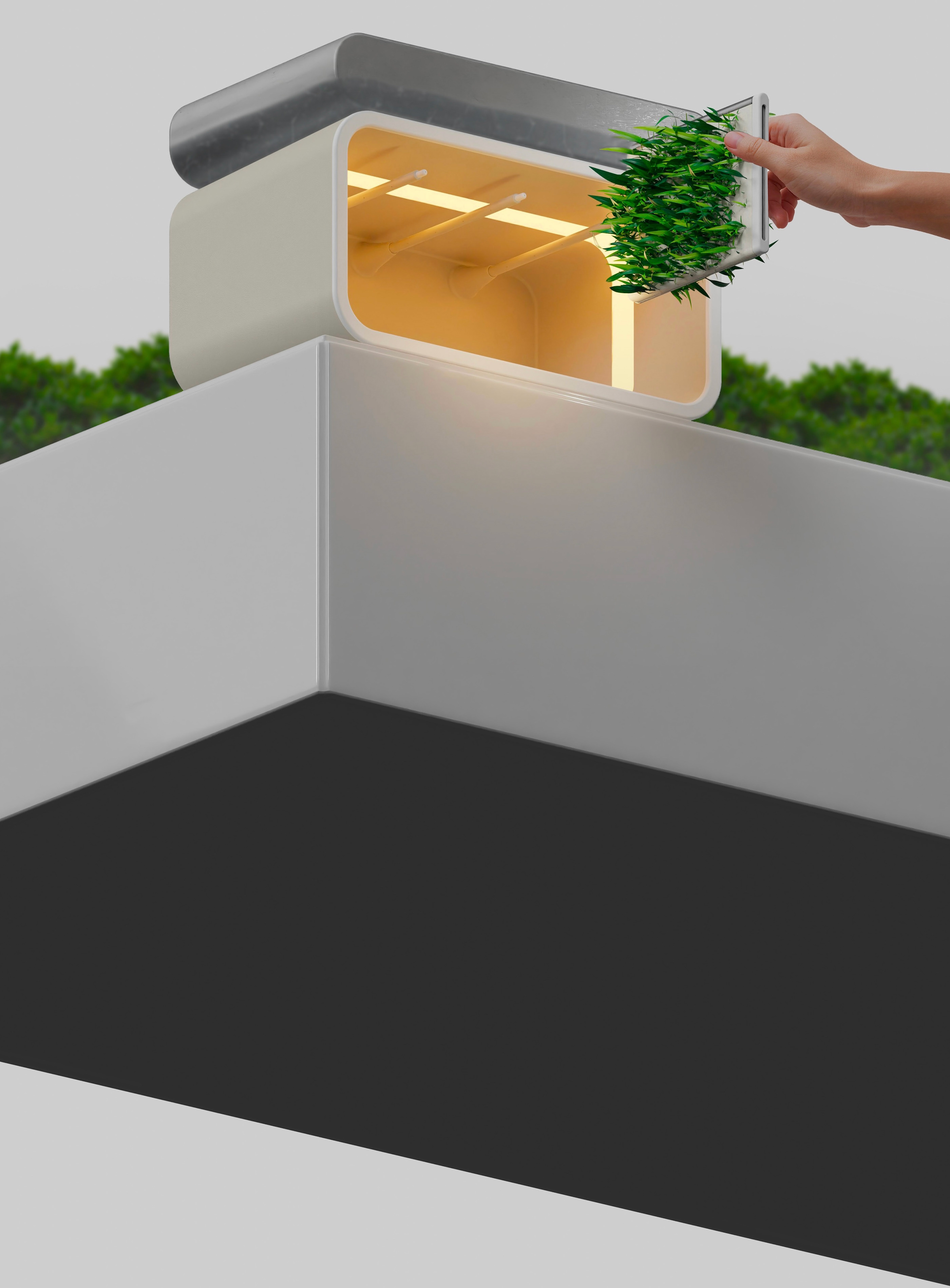 Square greens，Kitchenware，