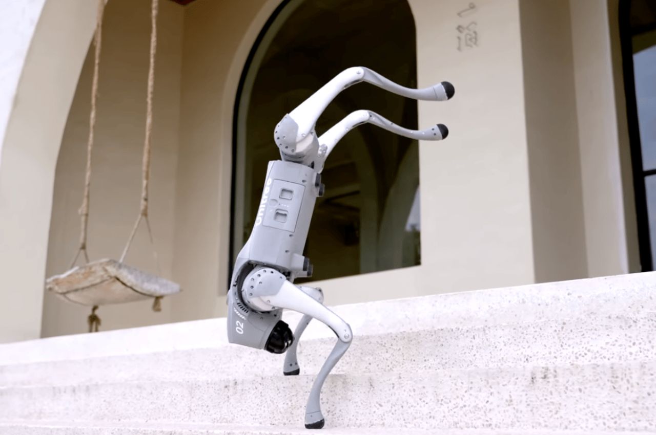 GO2，Robot dog，Unitree，robot，