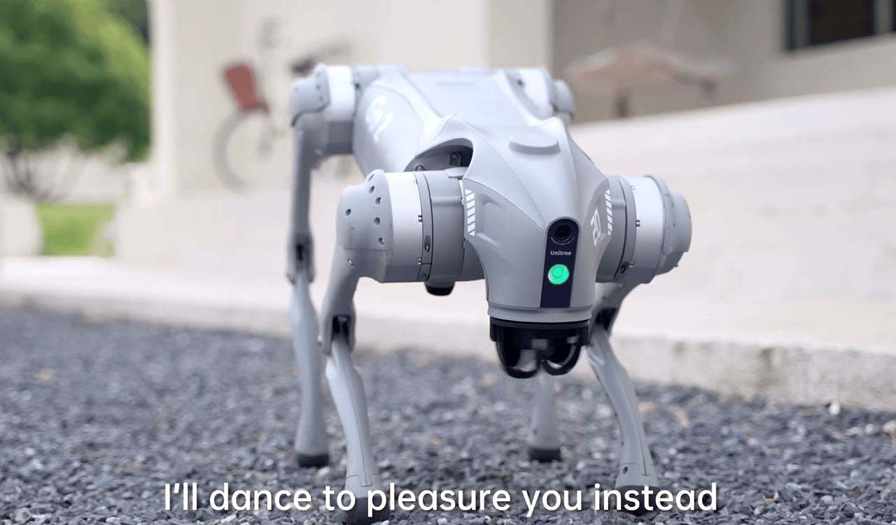 GO2，Robot dog，Unitree，robot，