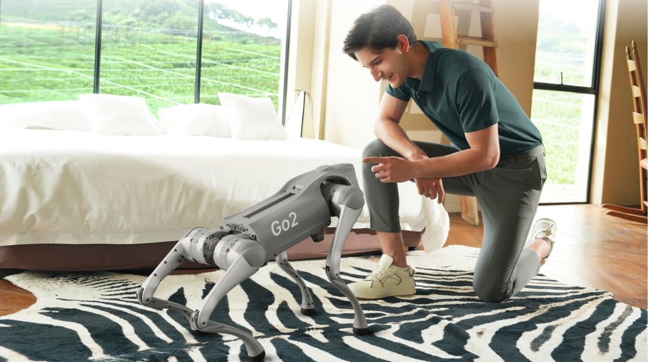 GO2，Robot dog，Unitree，robot，