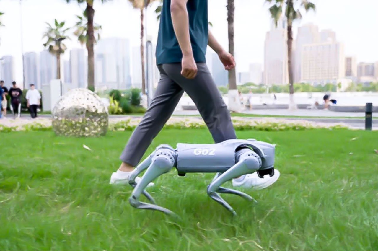 GO2，Robot dog，Unitree，robot，