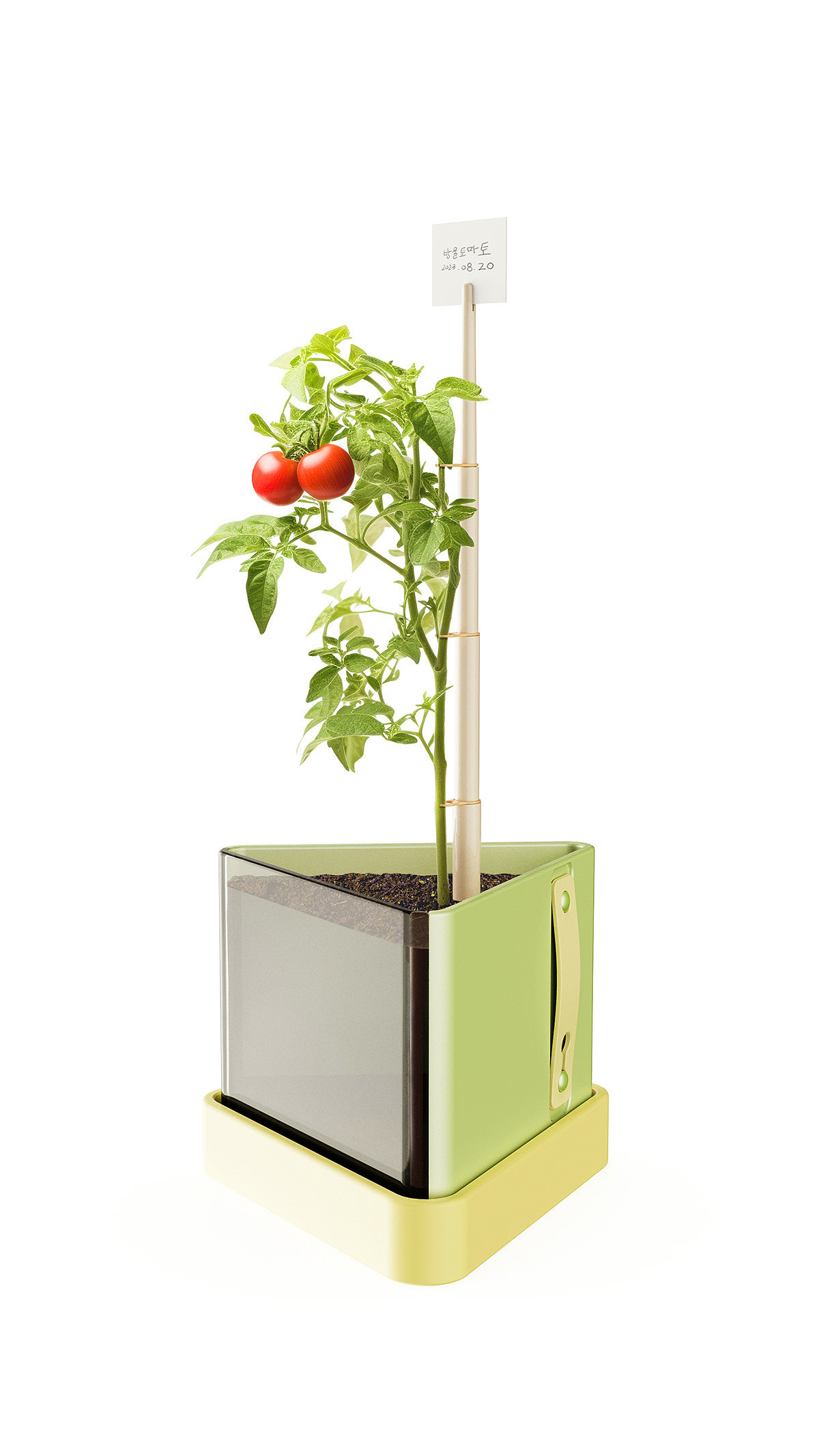 Buddy，Toys，Gardening toys，originality，
