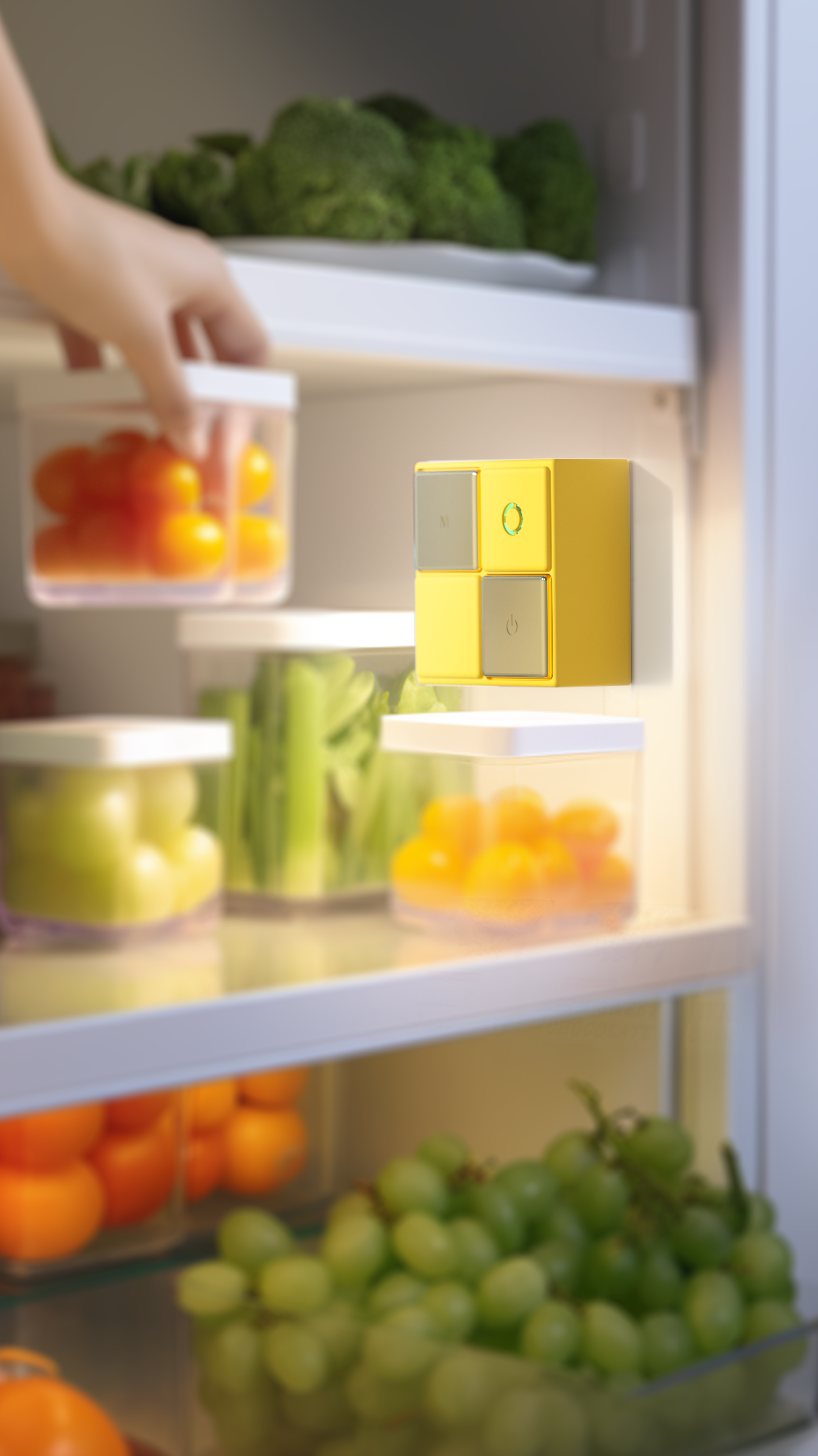 Fruit and vegetable cleaning machine，