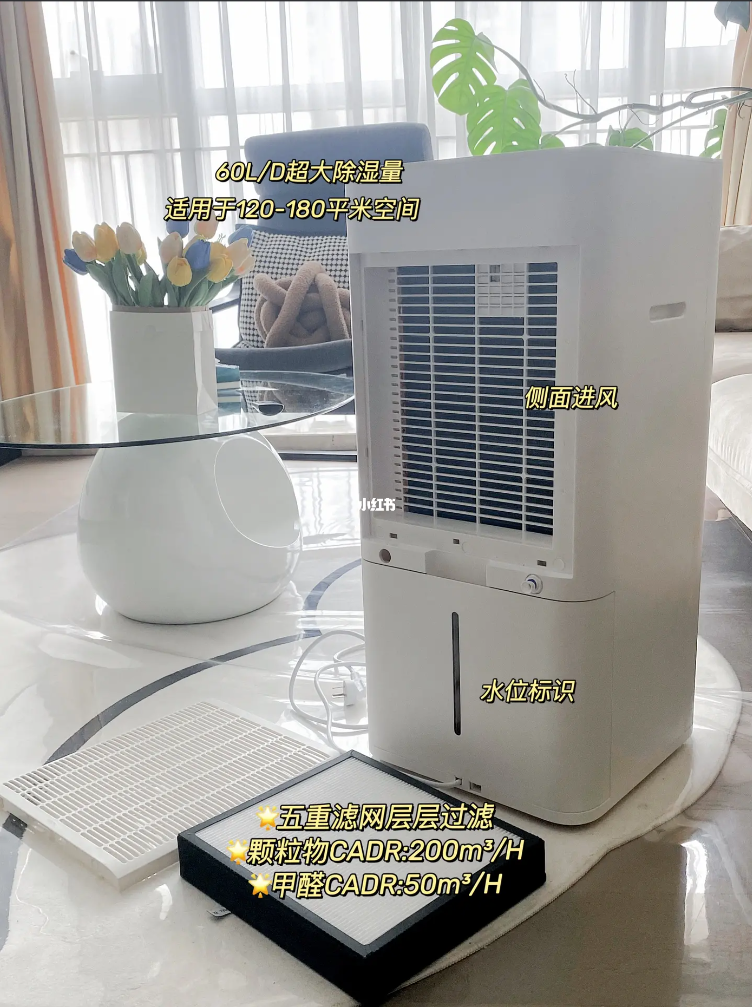Appearance design，Intelligent innovation，dehumidifier，dryer，purifier，