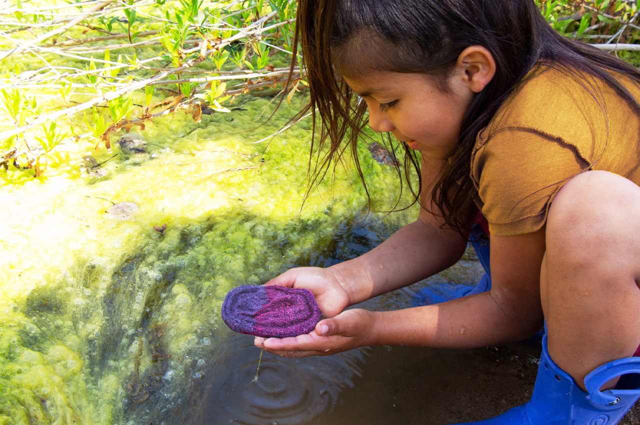 Colores del Rio，intelligence，Biological tools，testing，
