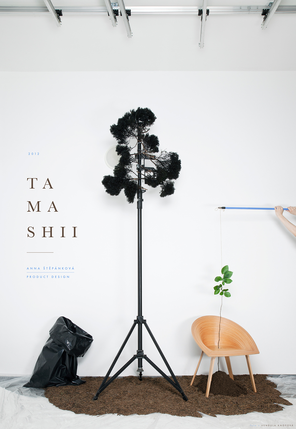 chair，tree，idea，