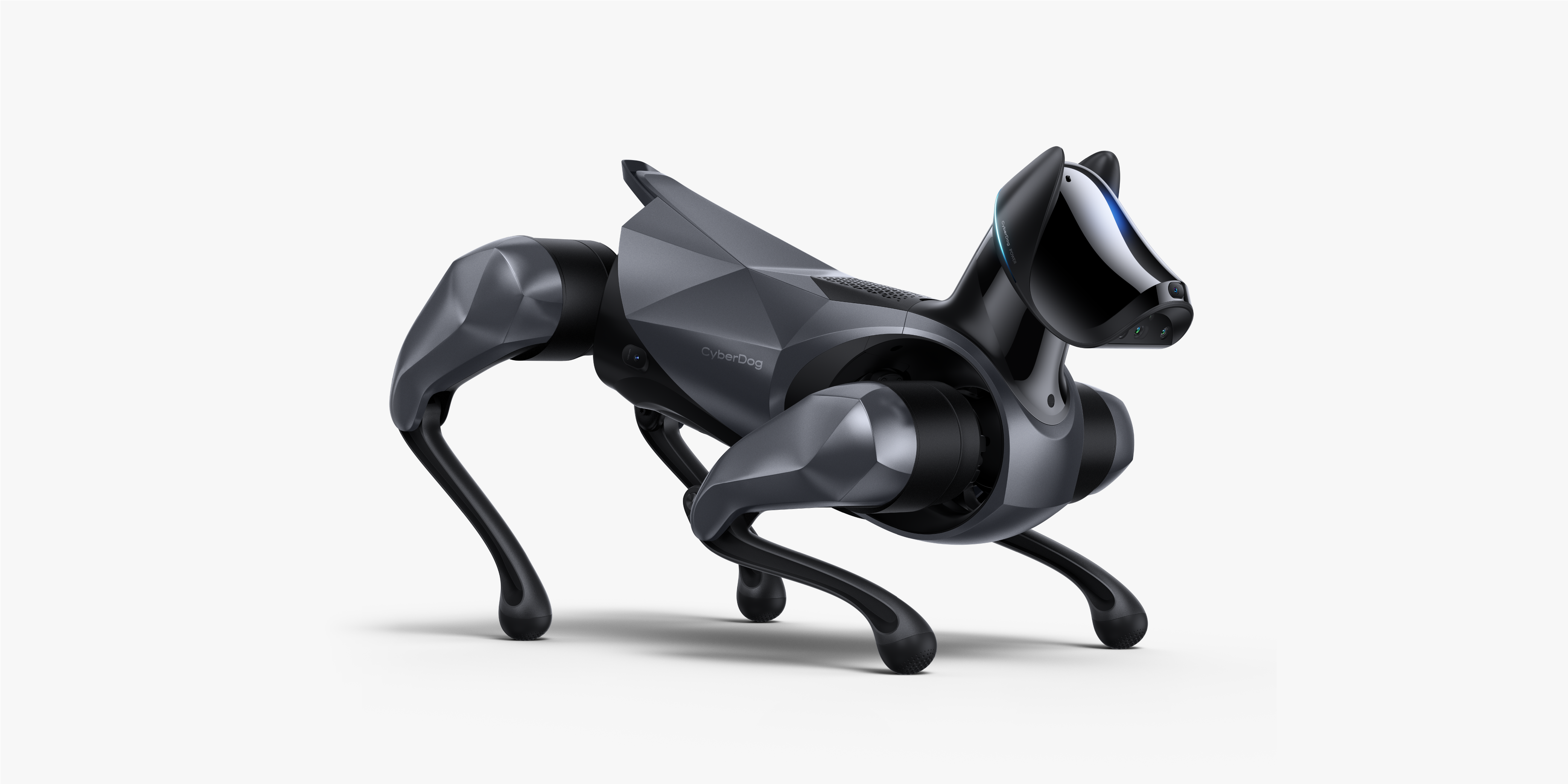 robot，Robot dog，Intelligent power，