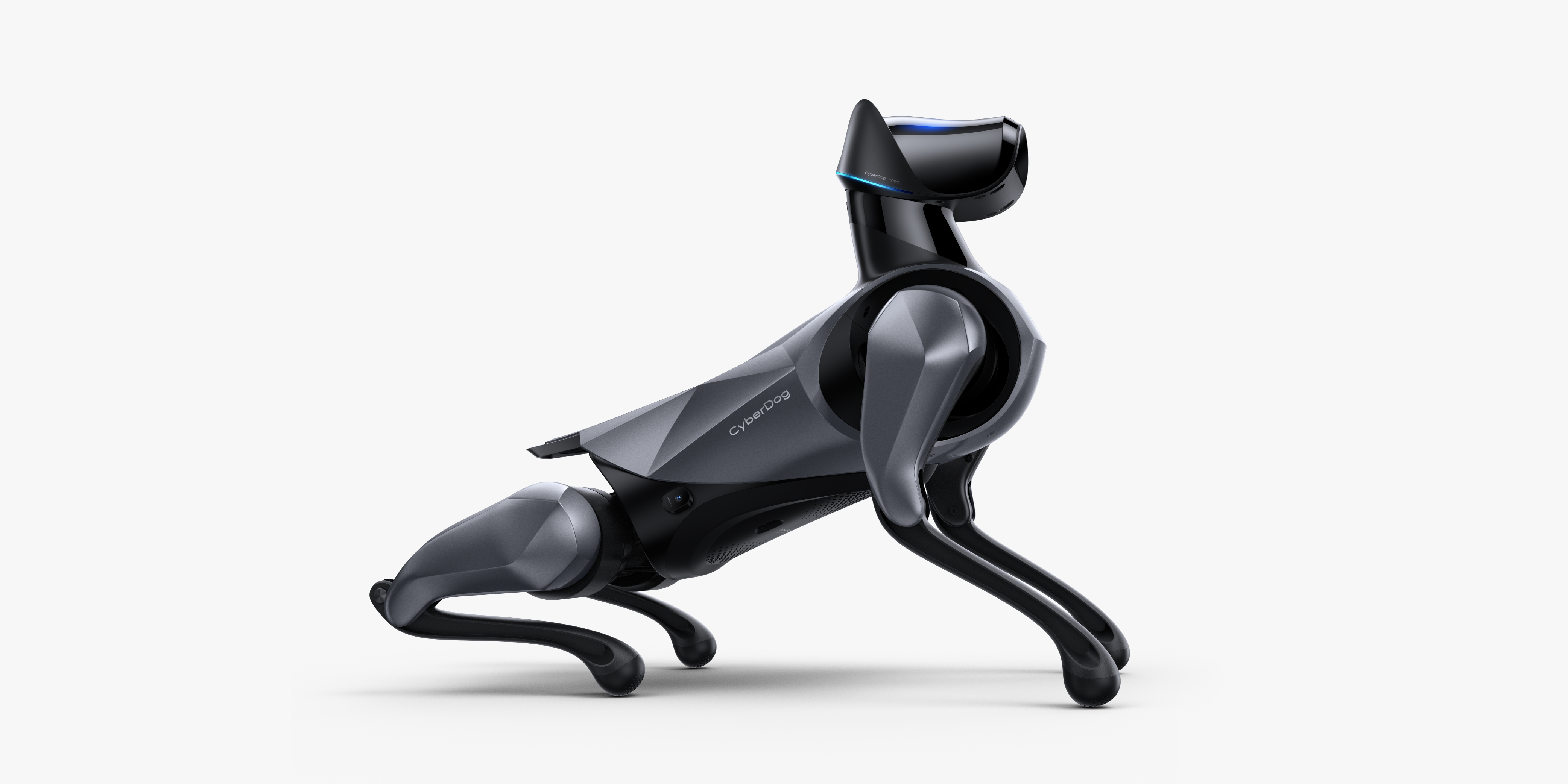 robot，Robot dog，Intelligent power，