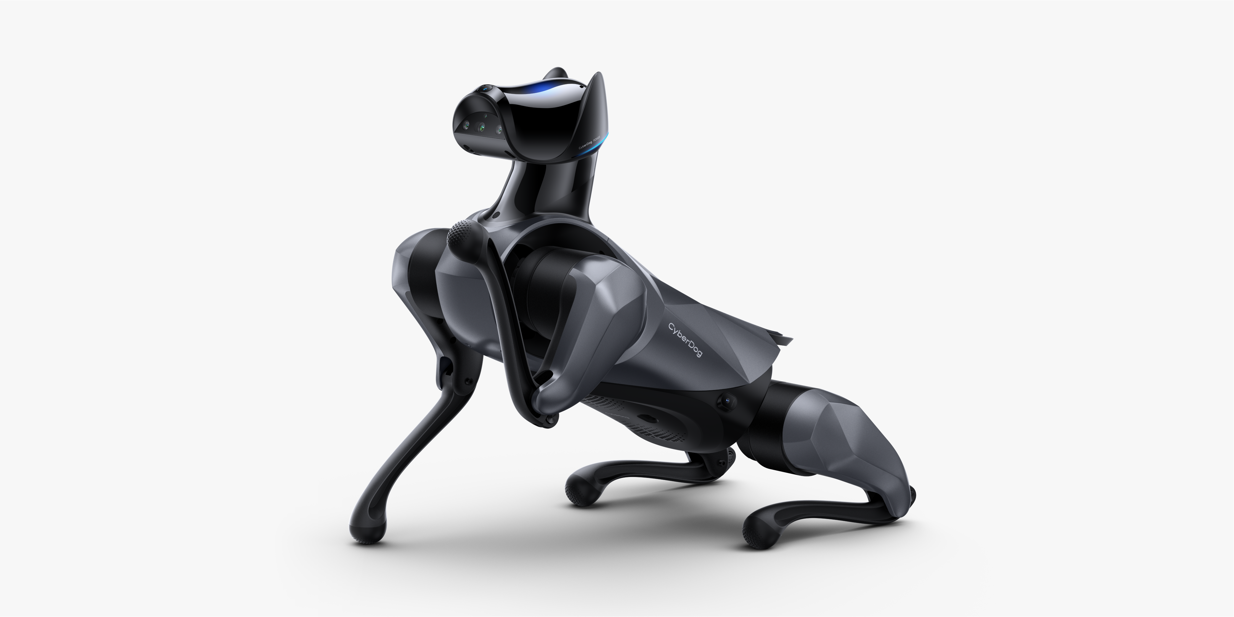 robot，Robot dog，Intelligent power，