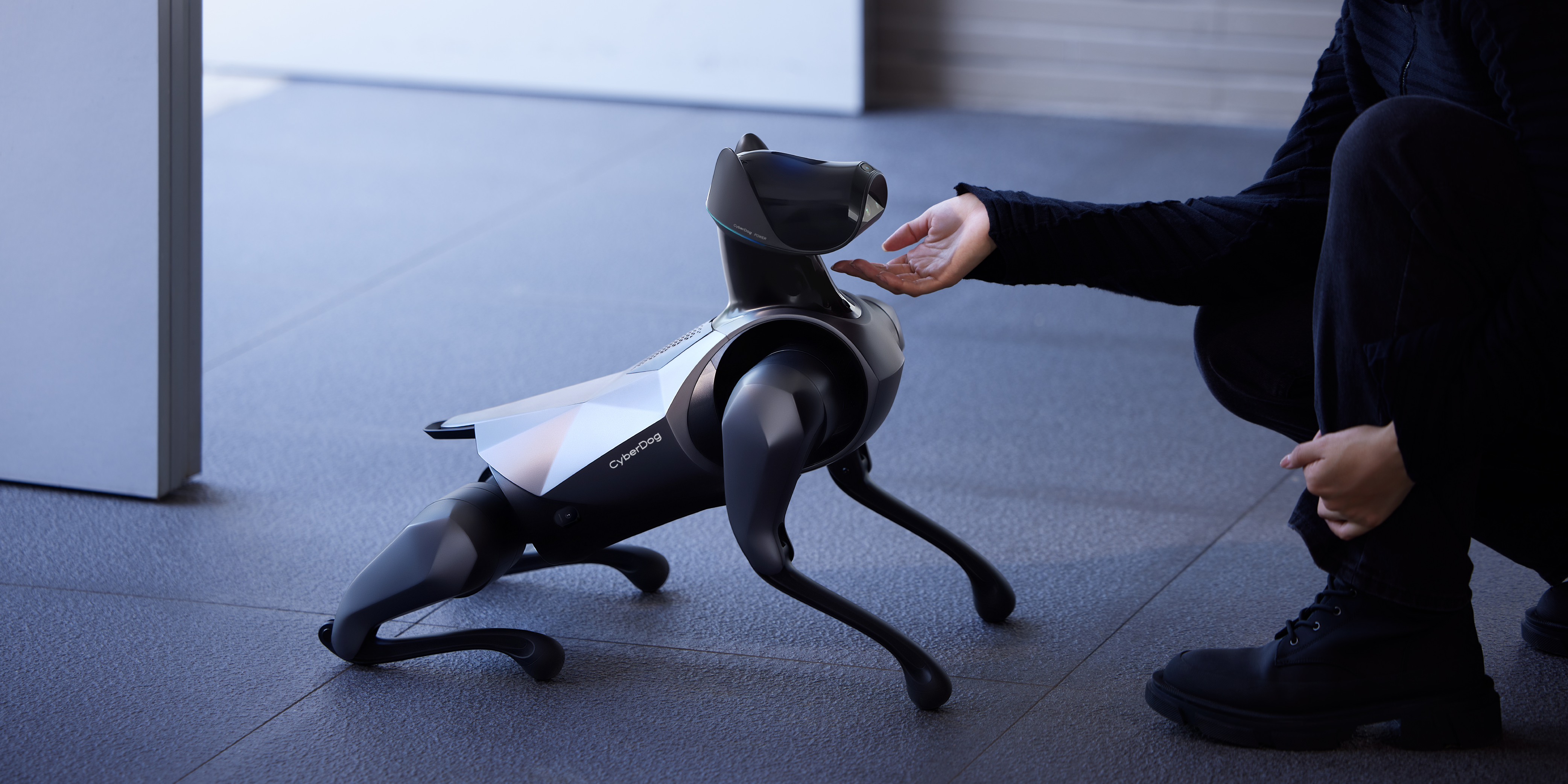 robot，Robot dog，Intelligent power，