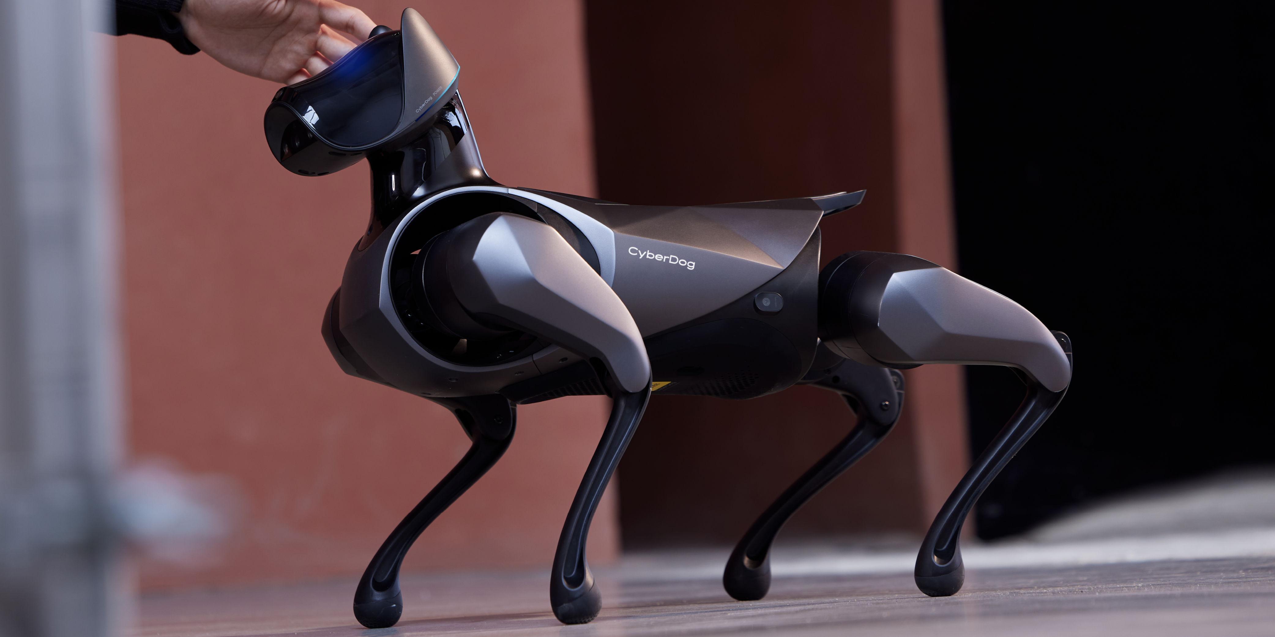 robot，Robot dog，Intelligent power，