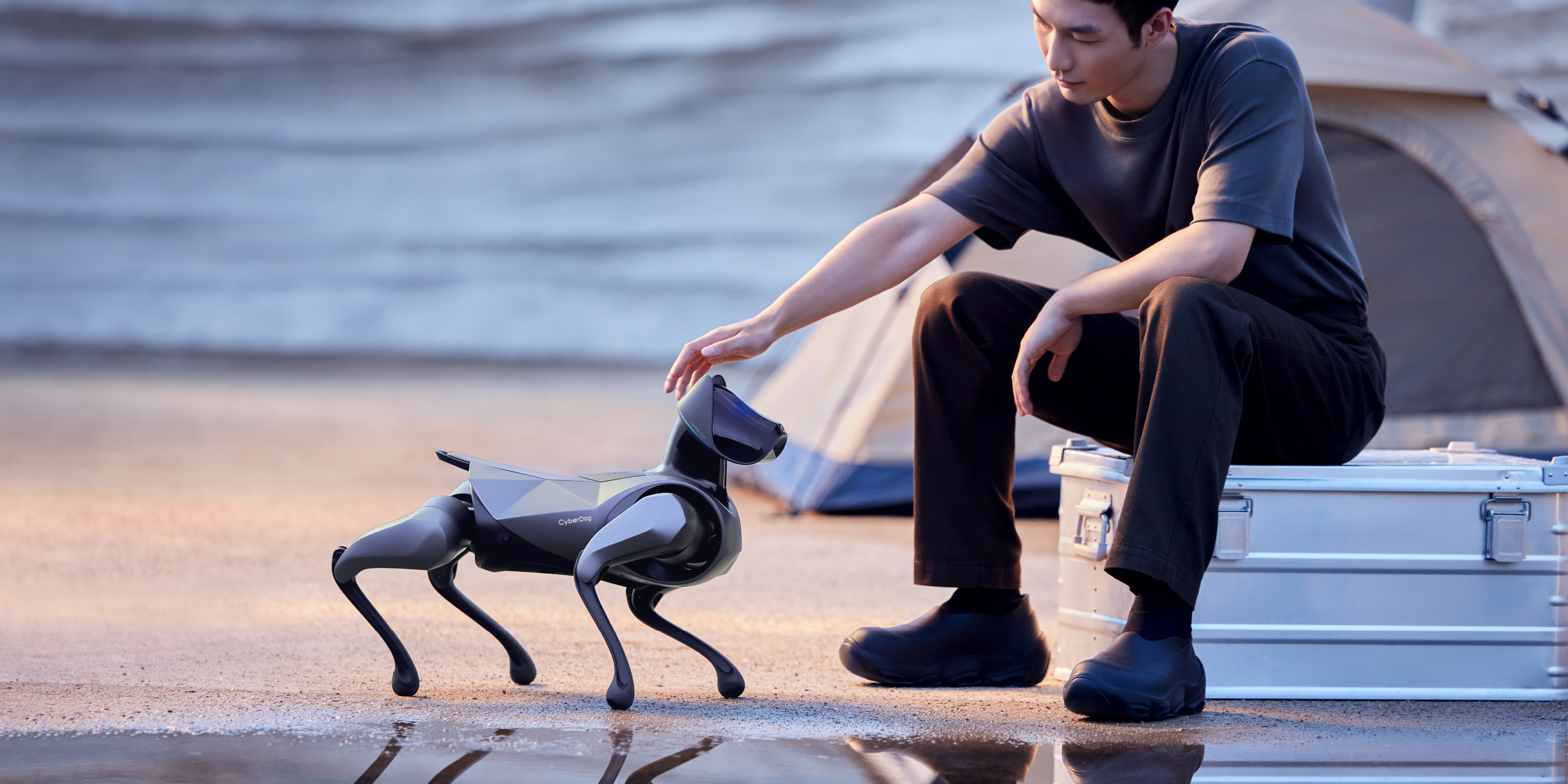 robot，Robot dog，Intelligent power，