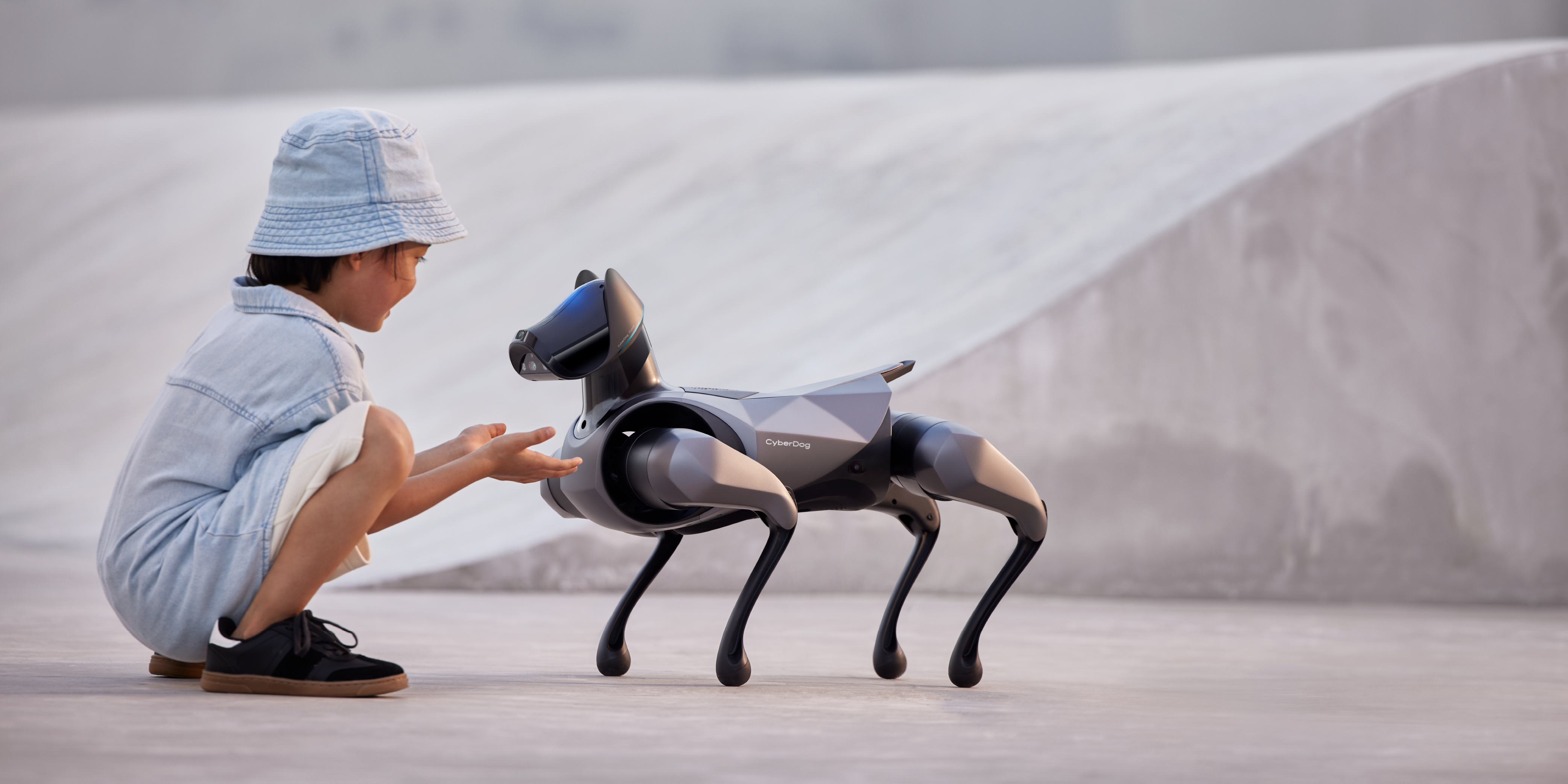 robot，Robot dog，Intelligent power，