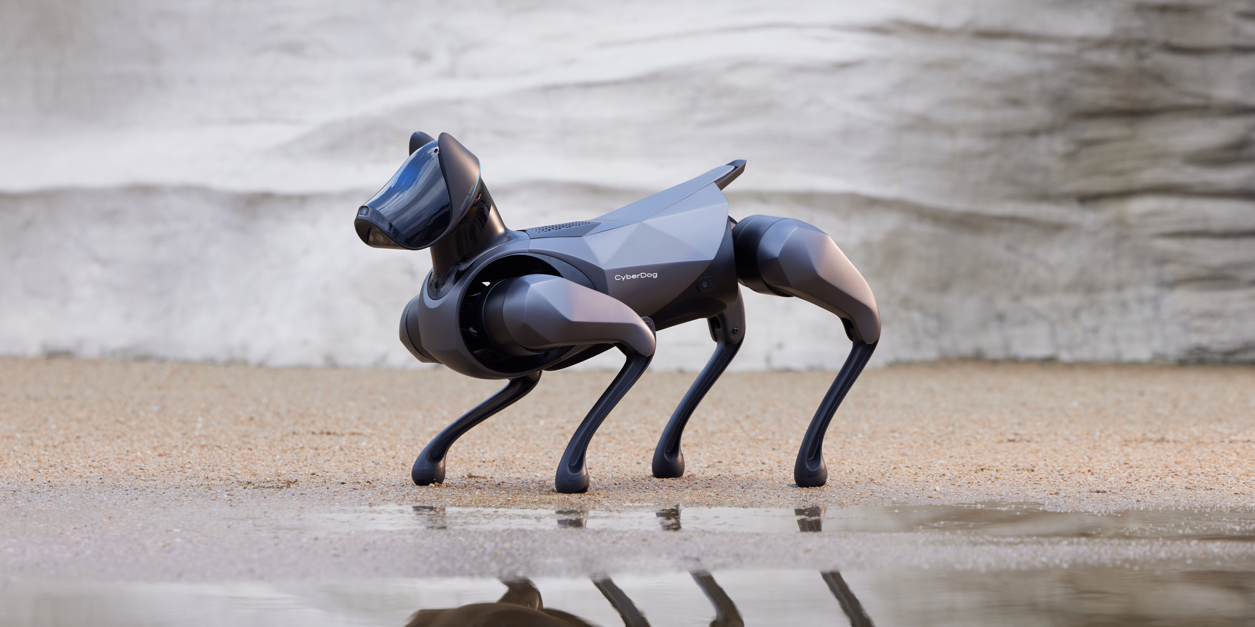 robot，Robot dog，Intelligent power，