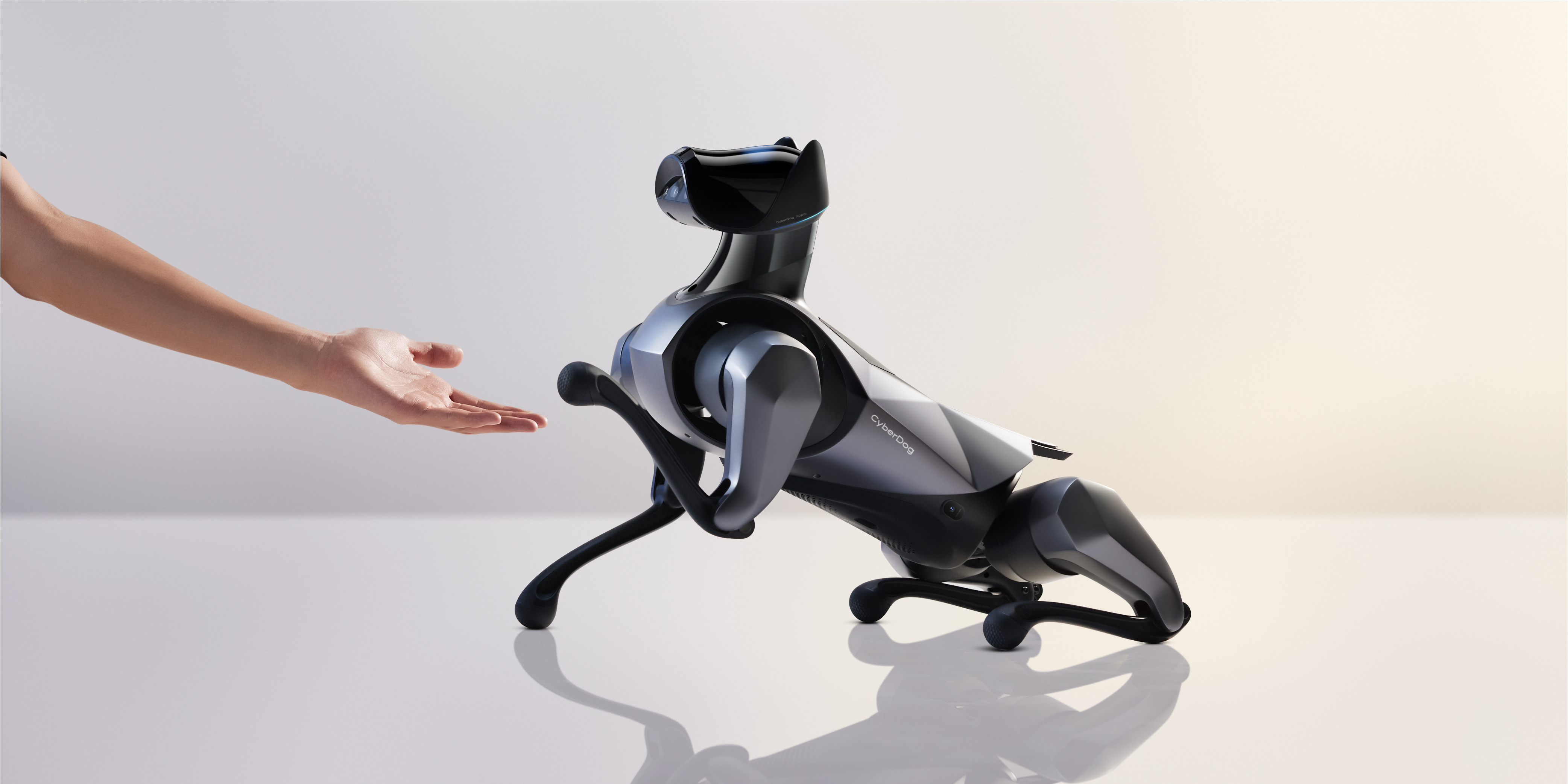 robot，Robot dog，Intelligent power，