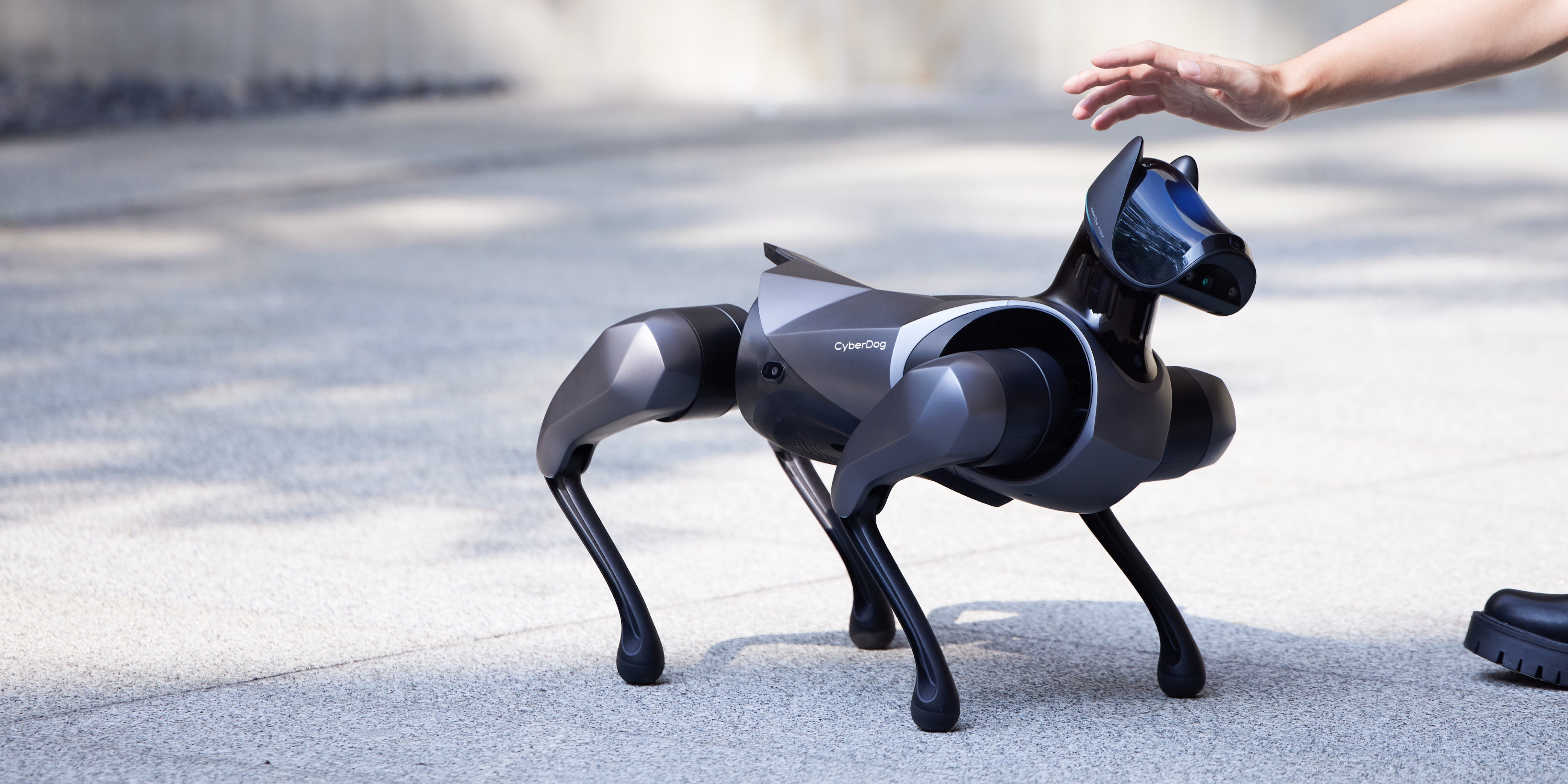 robot，Robot dog，Intelligent power，