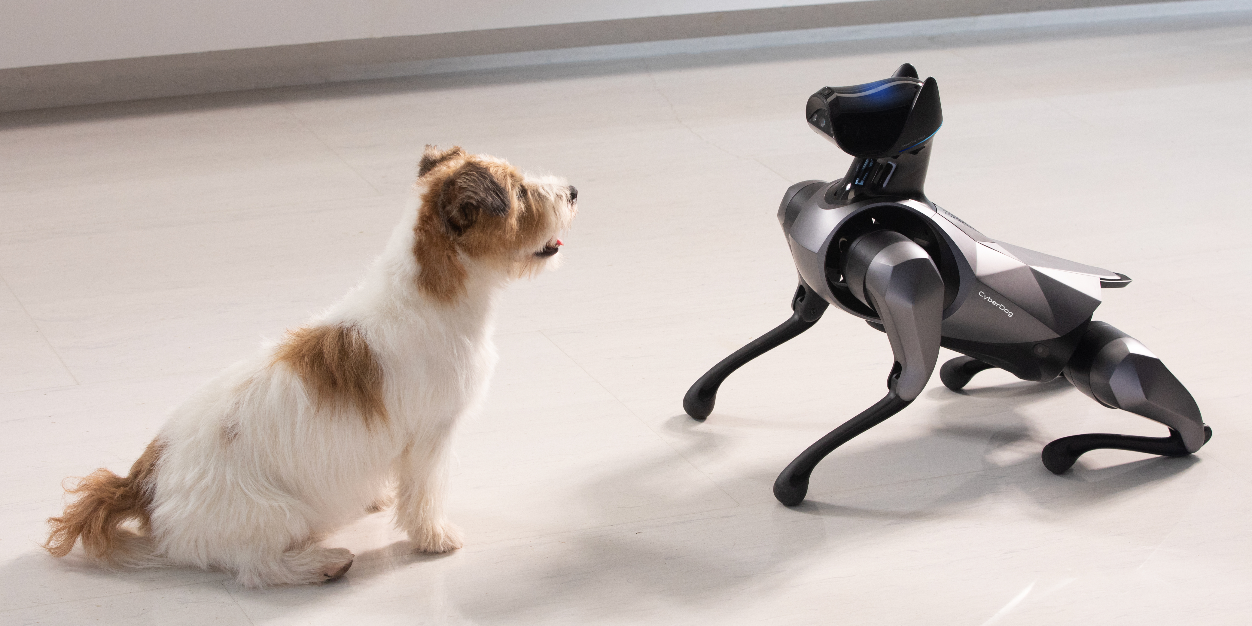 robot，Robot dog，Intelligent power，