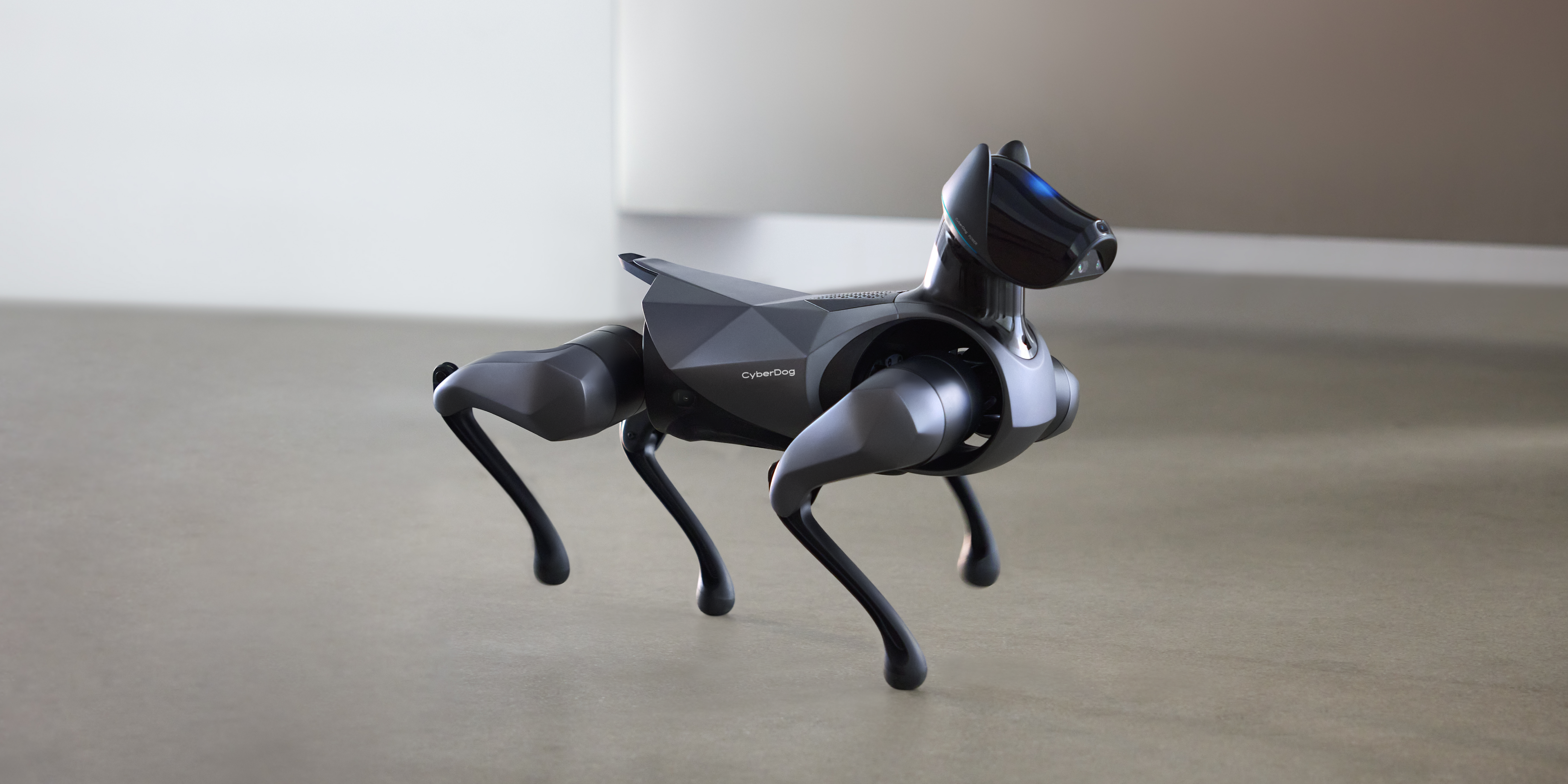 robot，Robot dog，Intelligent power，