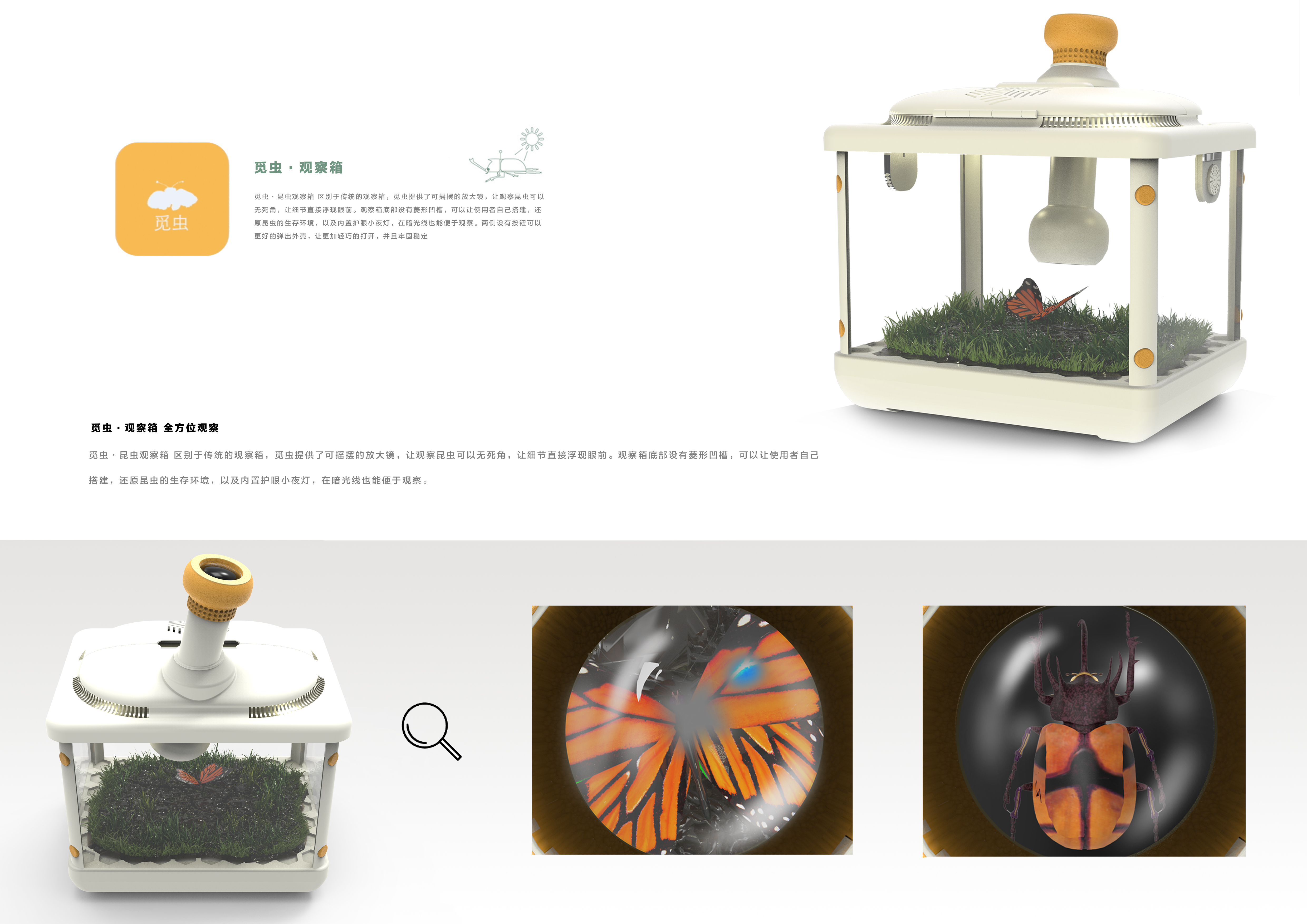 insect，outdoors，children，study，