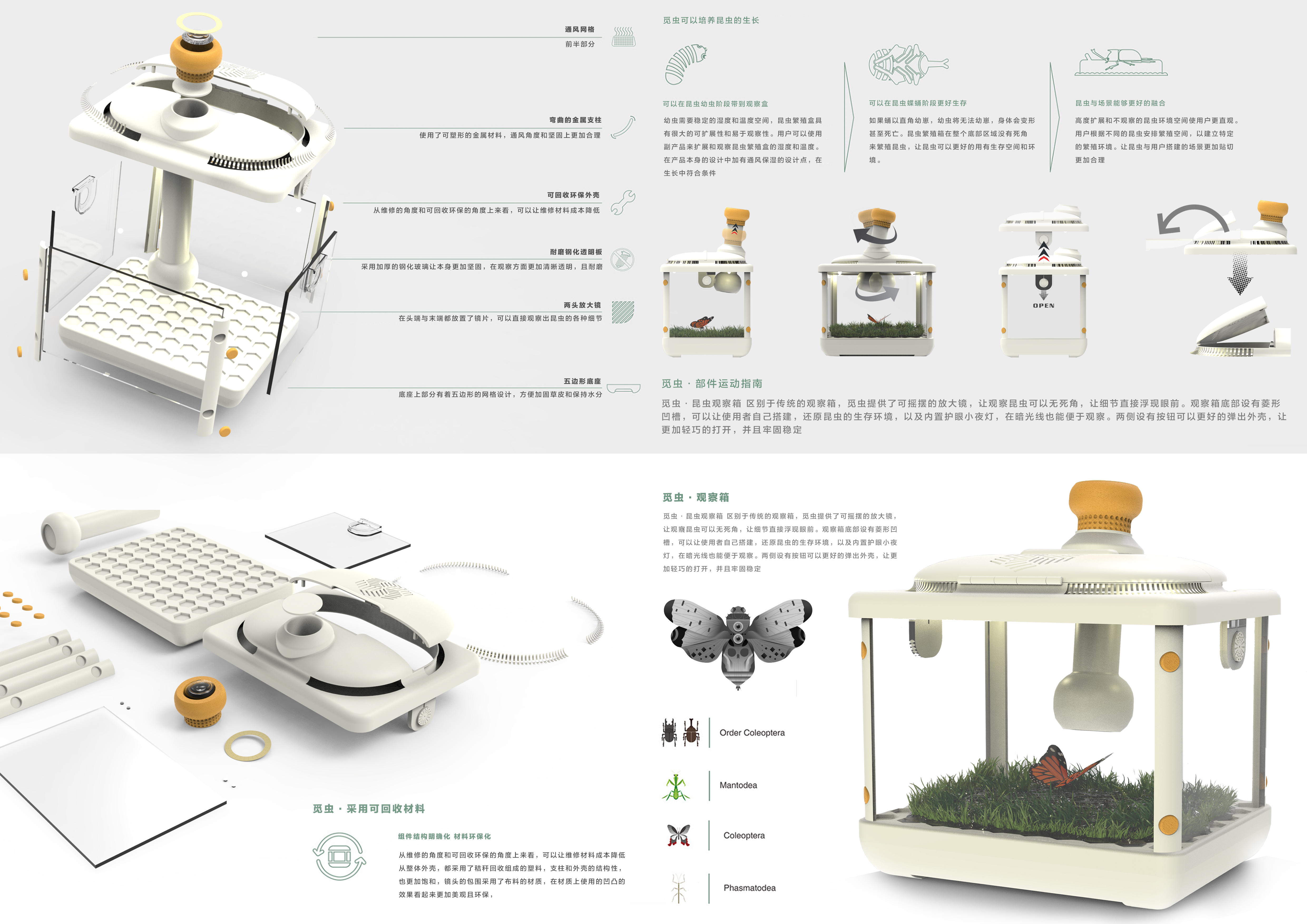 insect，outdoors，children，study，