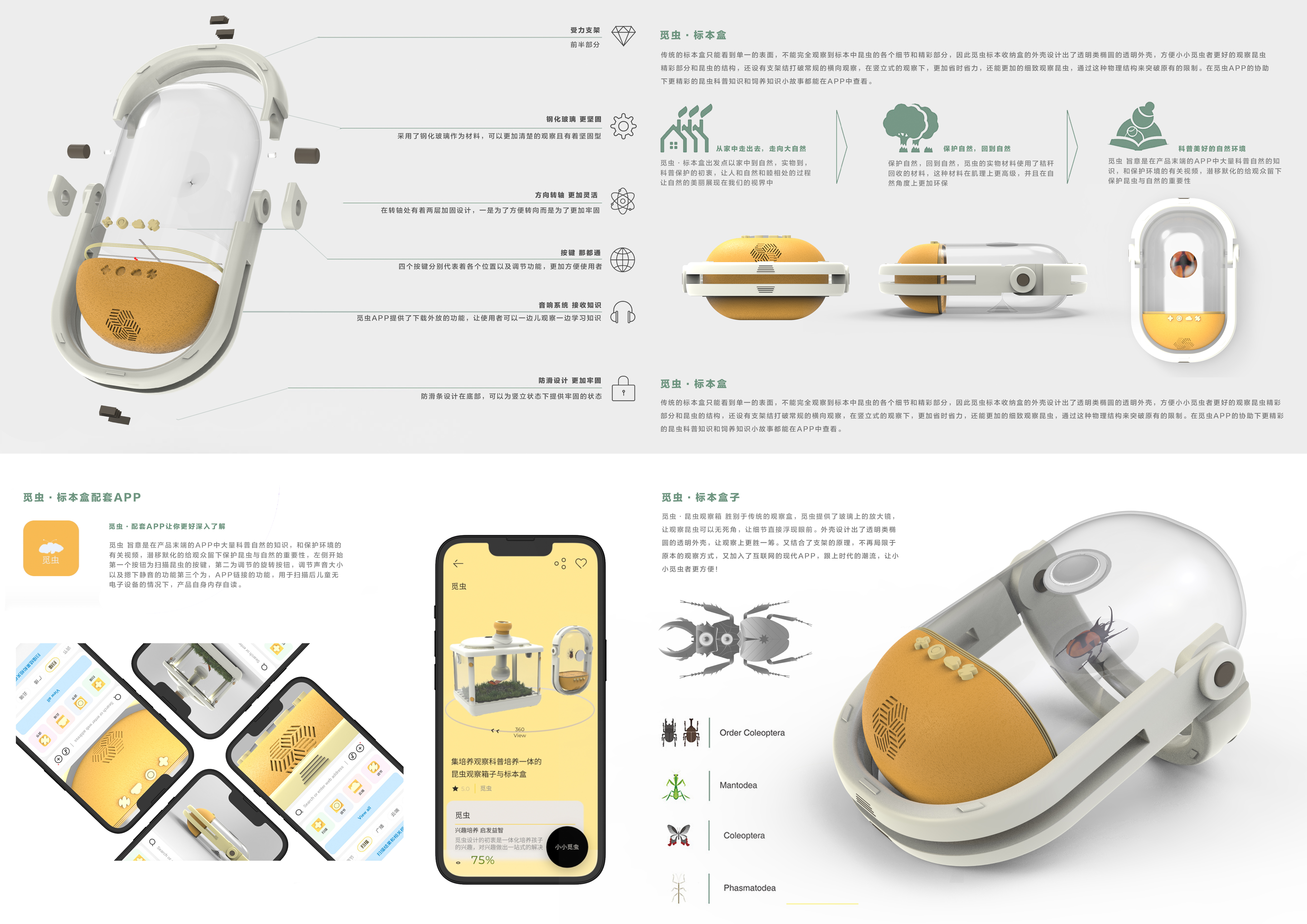 insect，outdoors，children，study，
