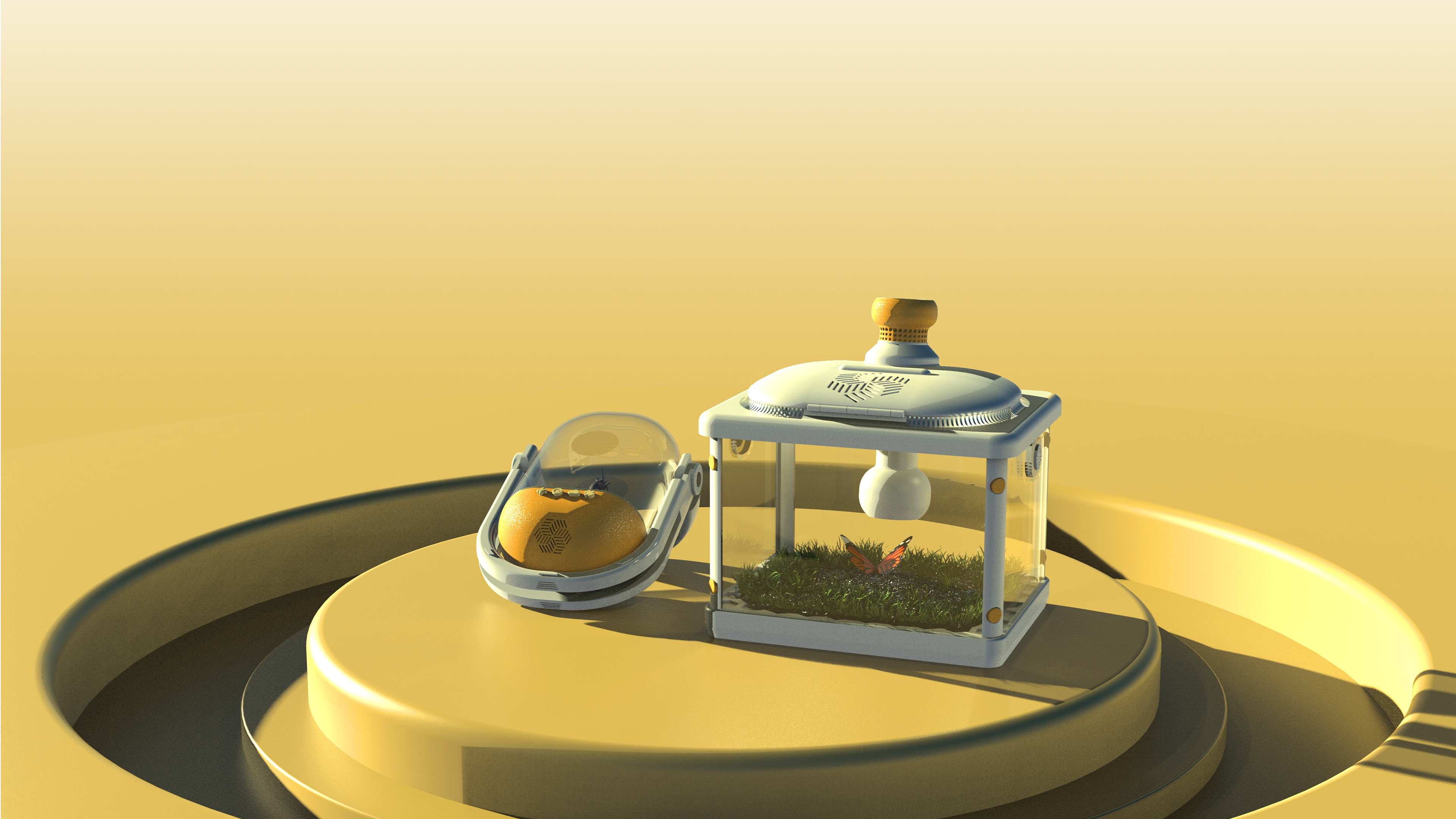 insect，outdoors，children，study，