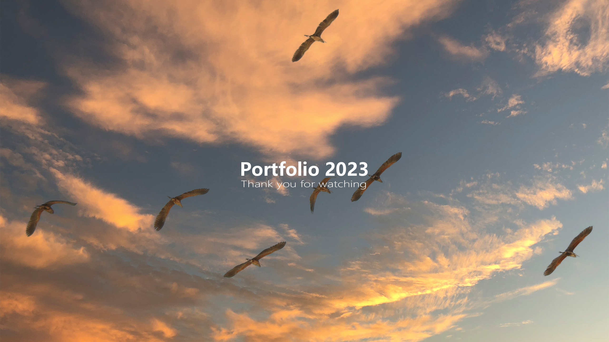 vehicle，Kitchen electricity，Tools and equipment，