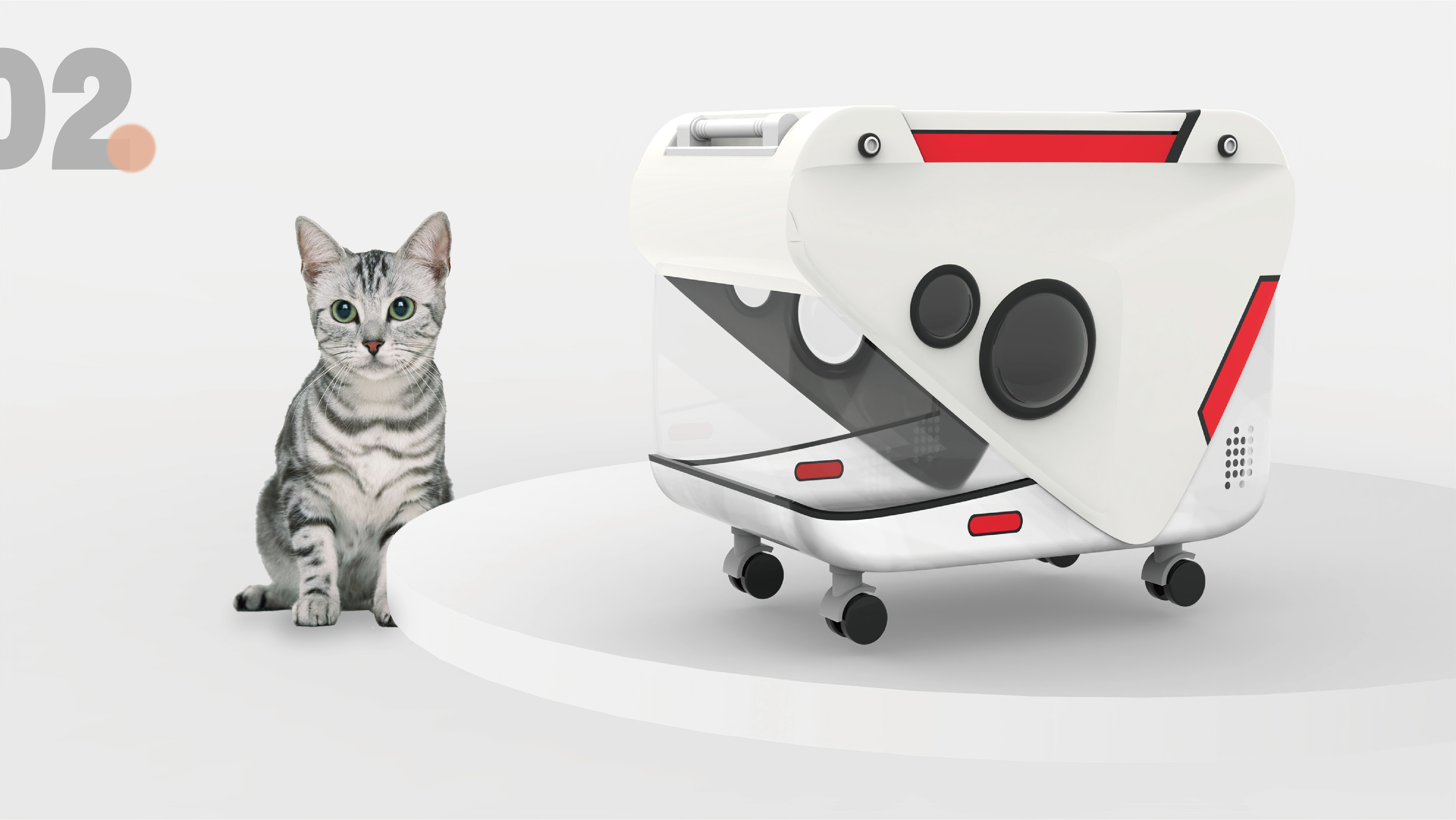 Pet Supplies & Pet，