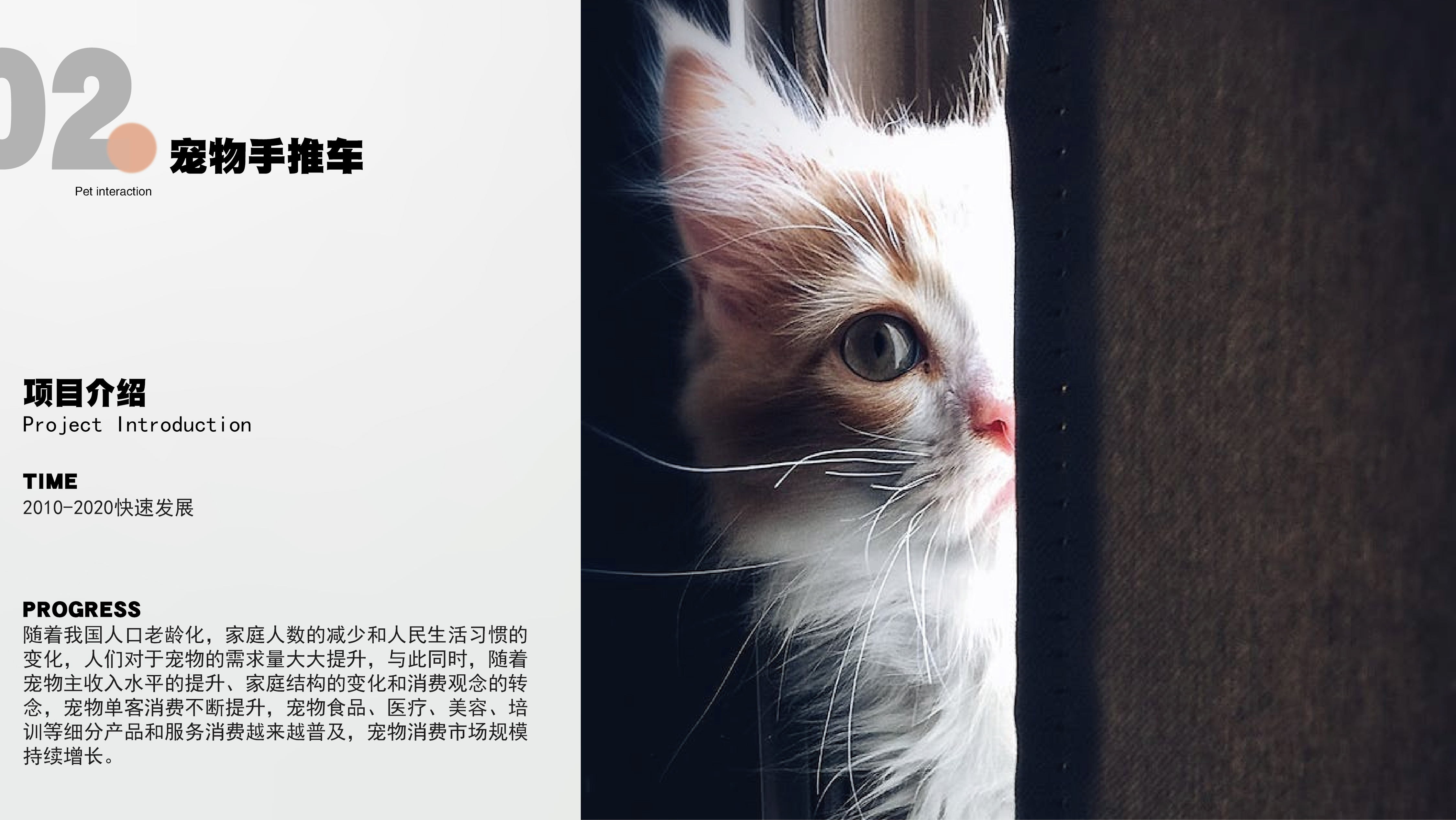 Pet Supplies & Pet，