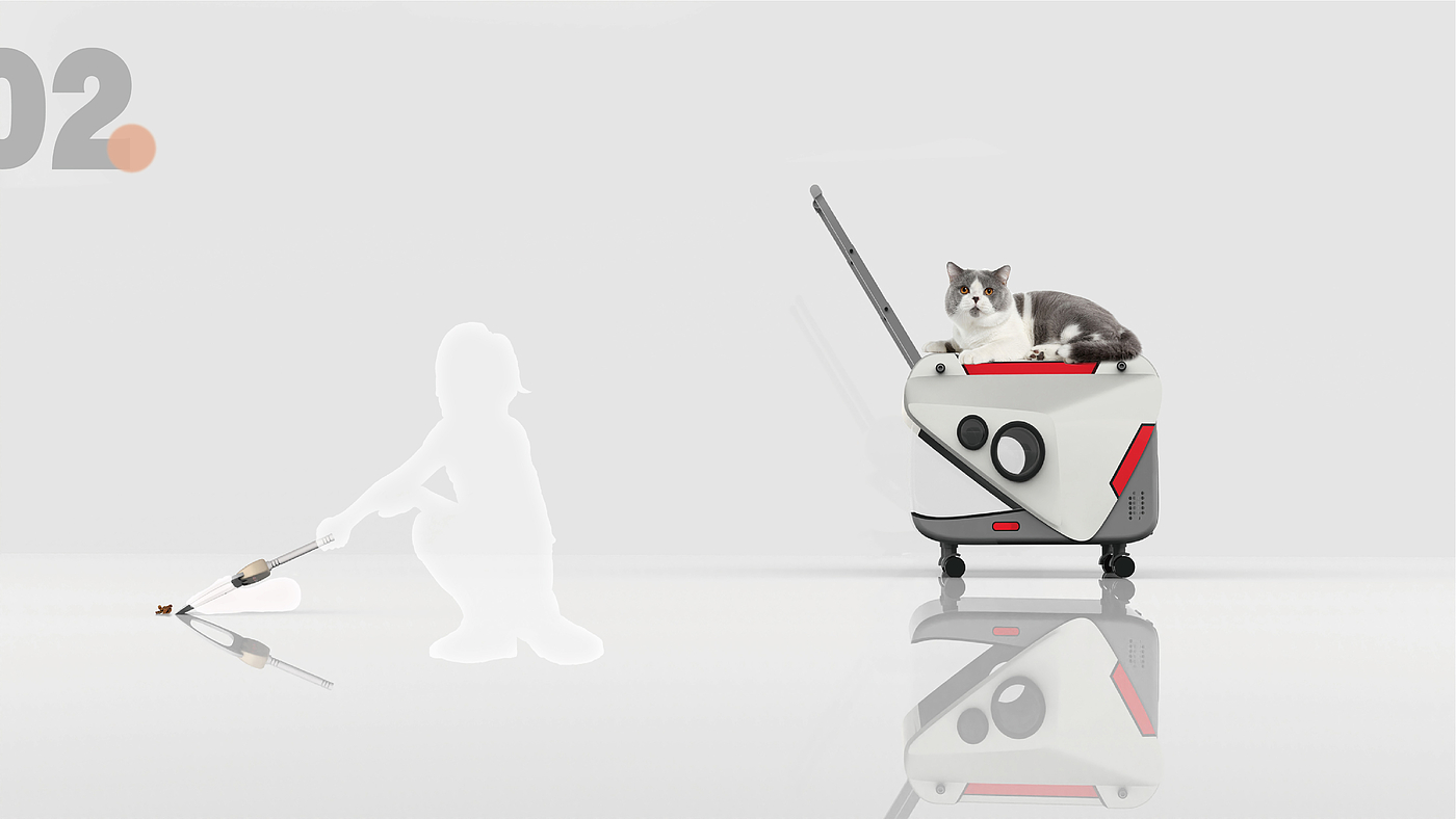 Pet Supplies & Pet，