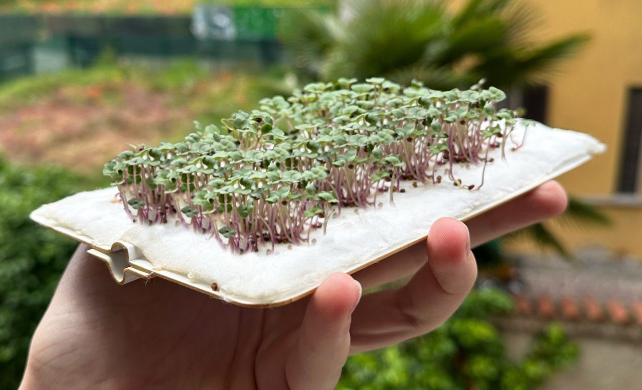 Square greens，Farmland，environment protection，facilitate，Square greens，Farmland，environment protection，facilitate，