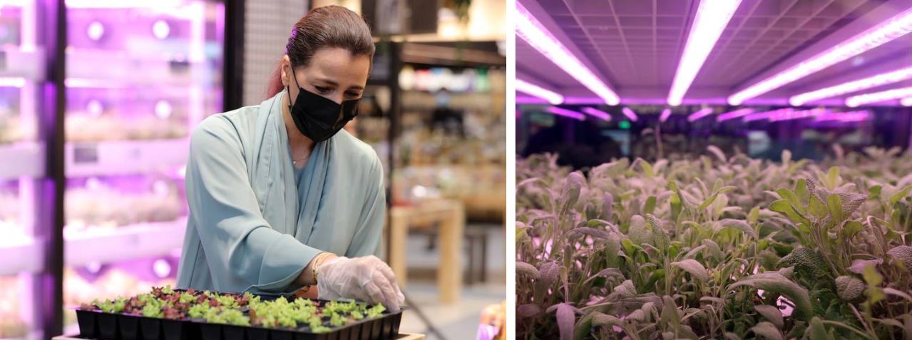 Square greens，Farmland，environment protection，facilitate，Square greens，Farmland，environment protection，facilitate，