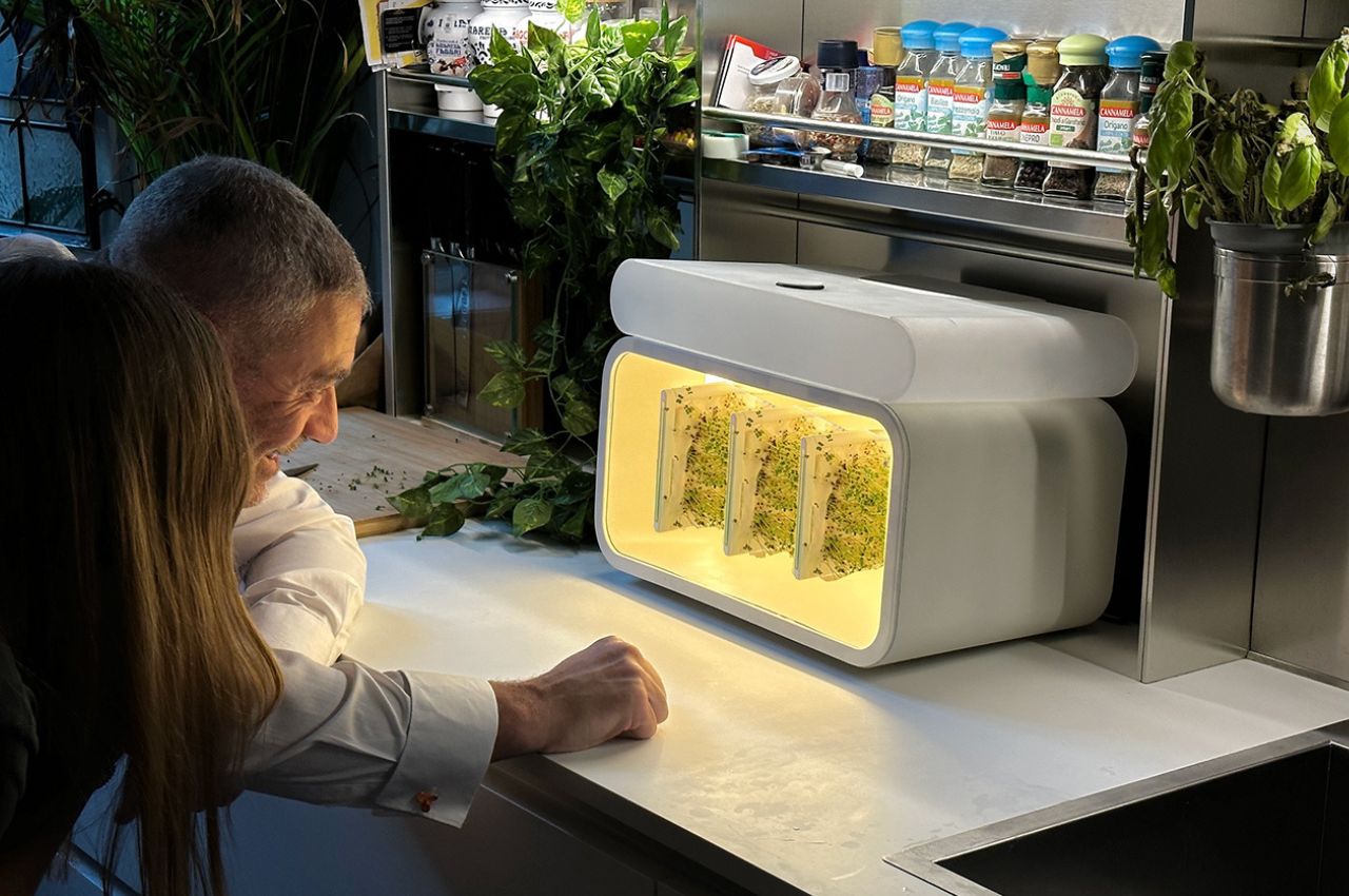 Square greens，Farmland，environment protection，facilitate，Square greens，Farmland，environment protection，facilitate，