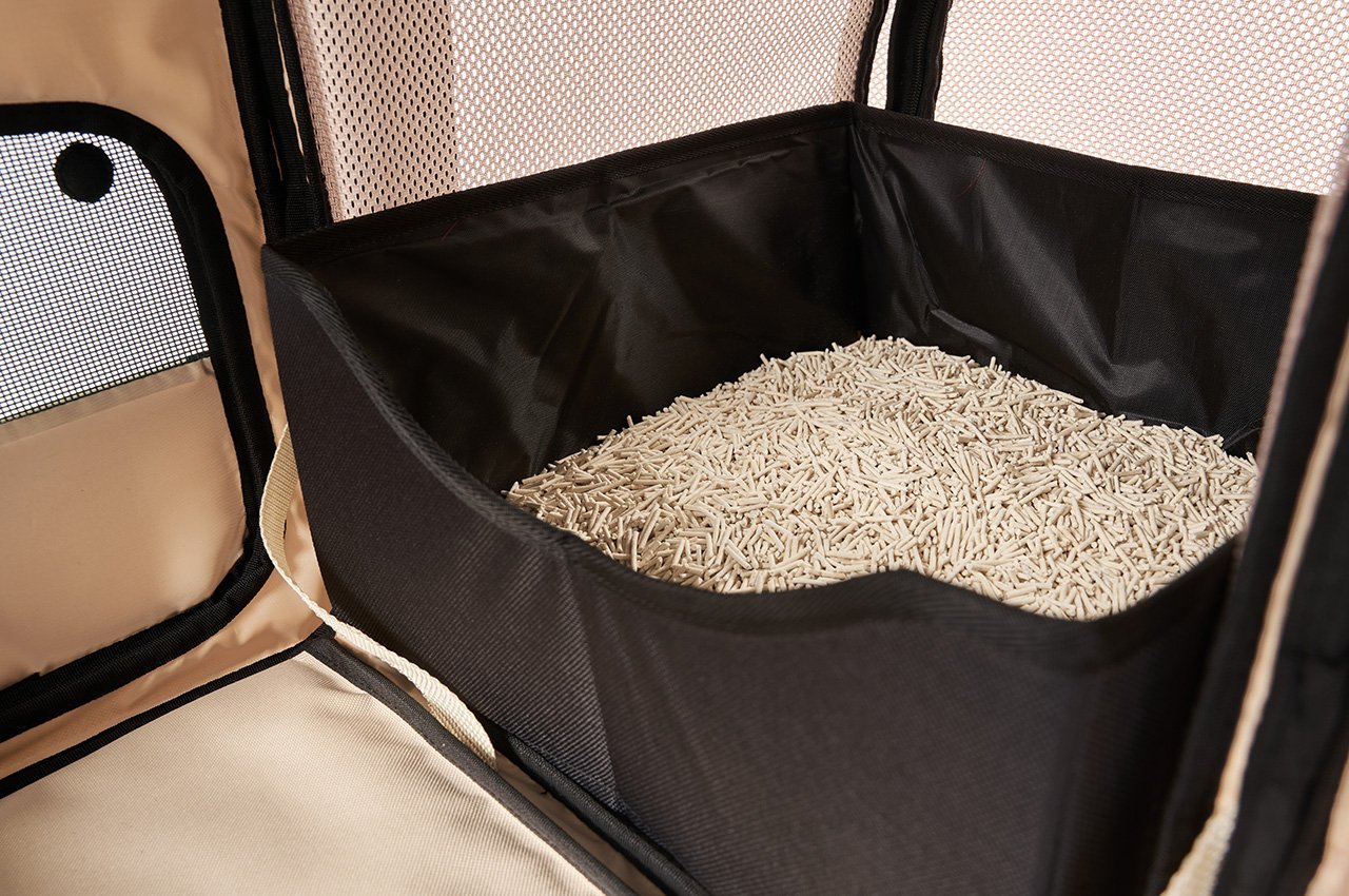 Rapidan ，Cat bag，Pet shelter，A stray cat，