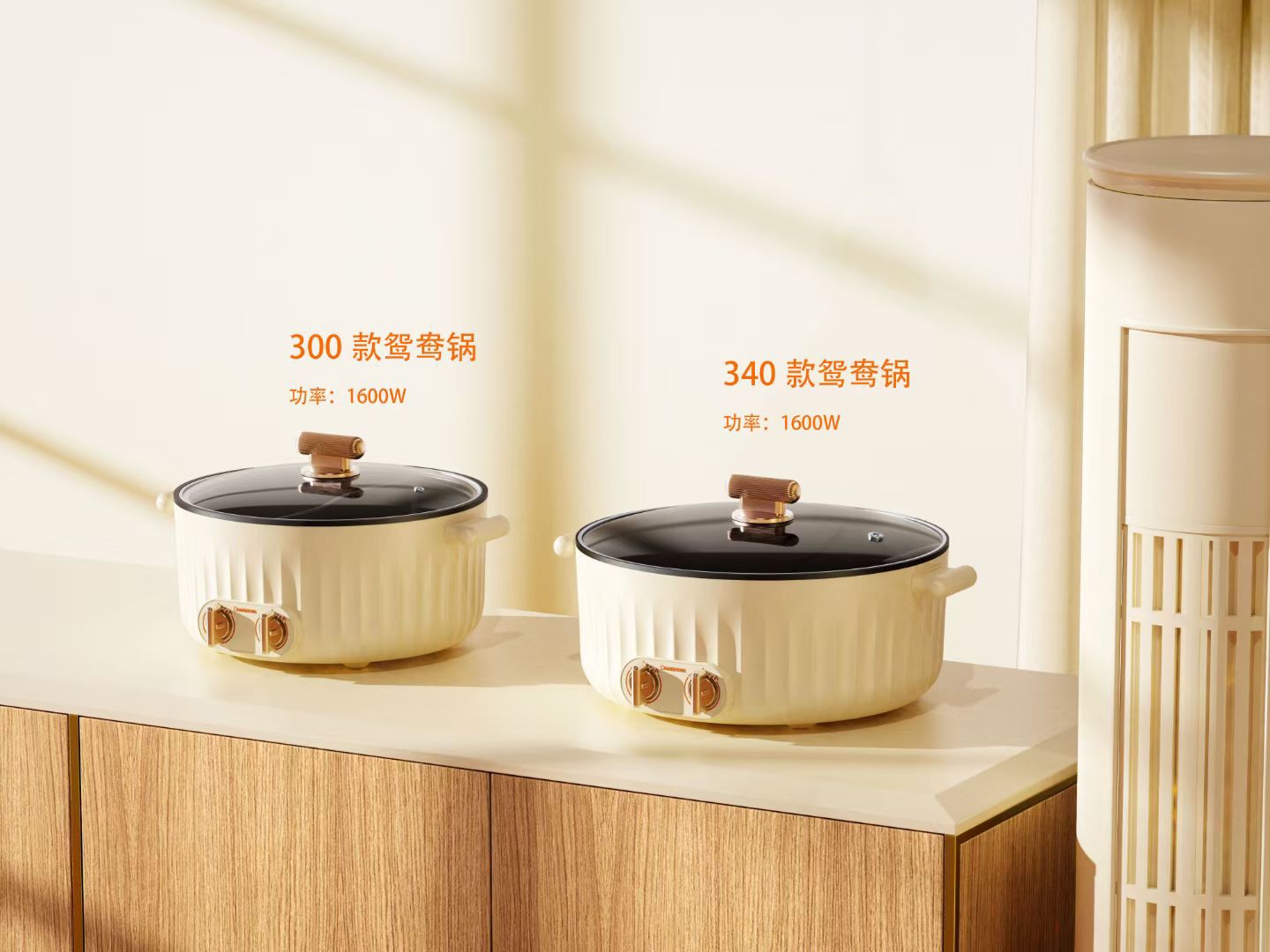 Electric cooker，small home appliances，Household appliances，product design，Kitchen appliances，an electric appliance，household electrical appliances，