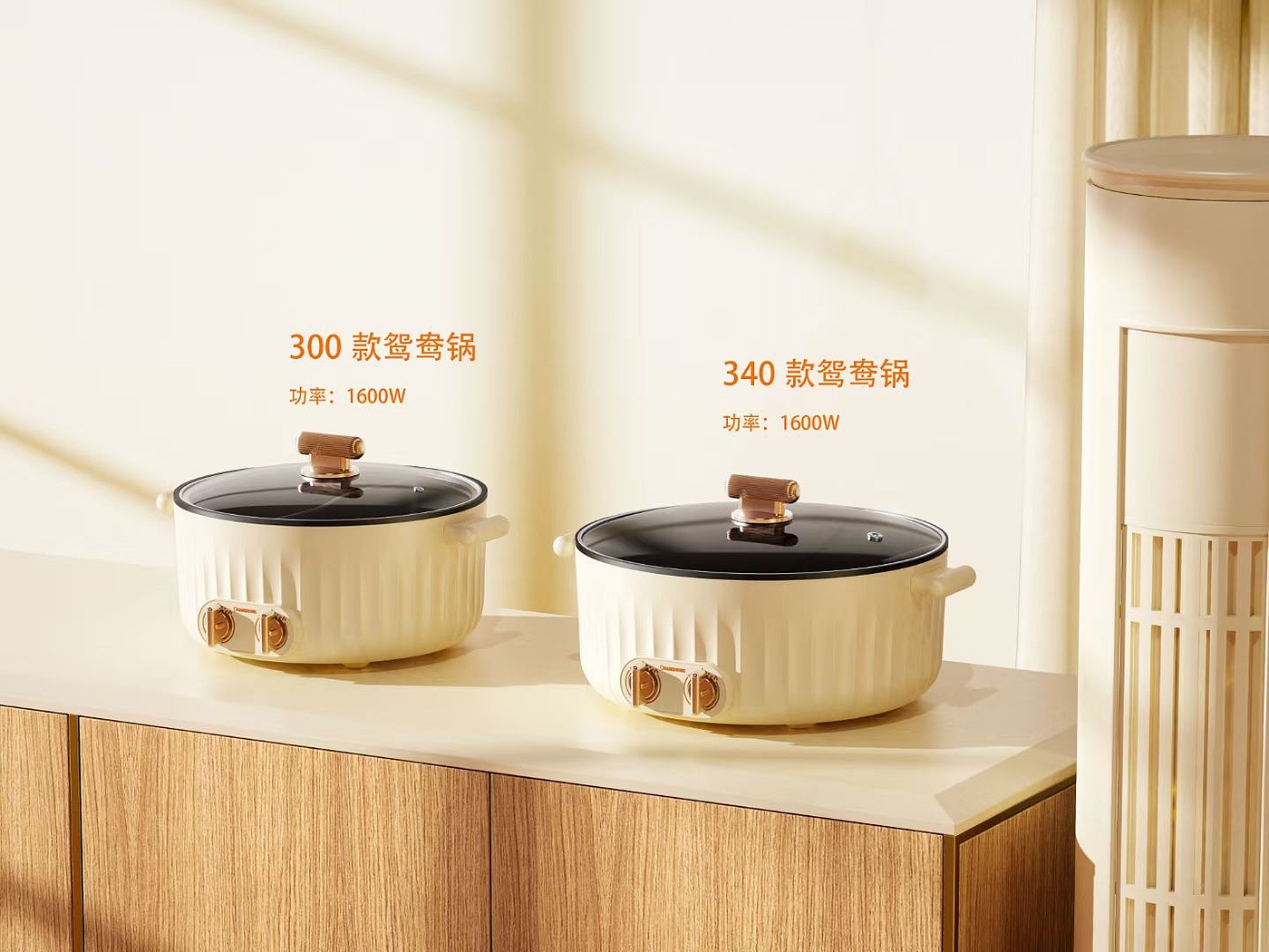Electric cooker，small home appliances，Household appliances，product design，Kitchen appliances，an electric appliance，household electrical appliances，