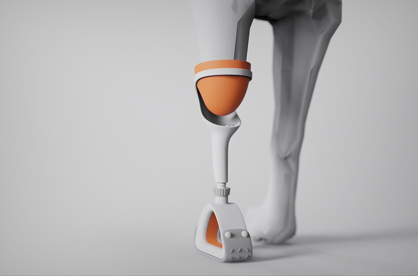 Pet Prostheses，Dog Prostheses，3D printing，Service design，detector，Sharing Platform，severed limb，Medical products，